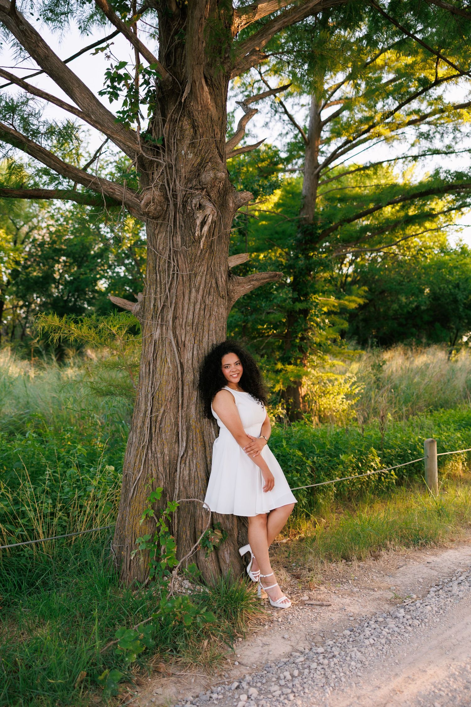 White summer dress contrasts against a rustic path lined with tall cedar trees at golden hour.
