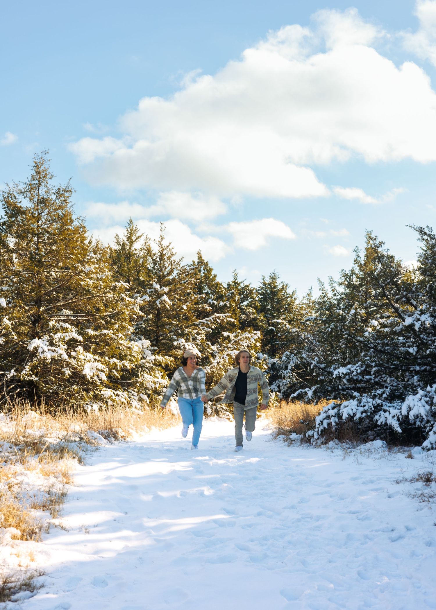 People walking through a snowy landscape with evergreen trees on a bright winter day.