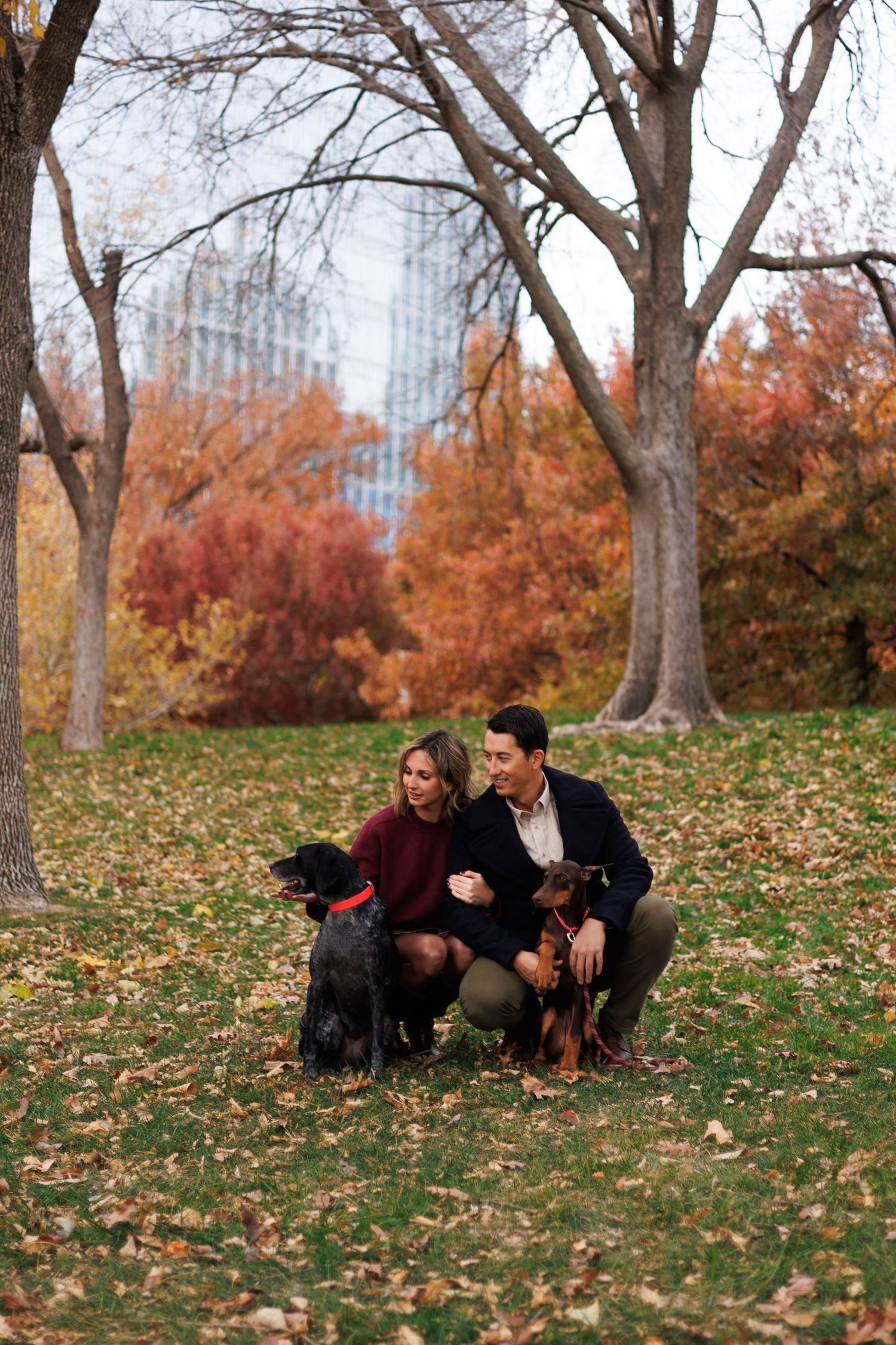 Two people and their dogs relaxing on fallen leaves under autumn trees in an urban park.