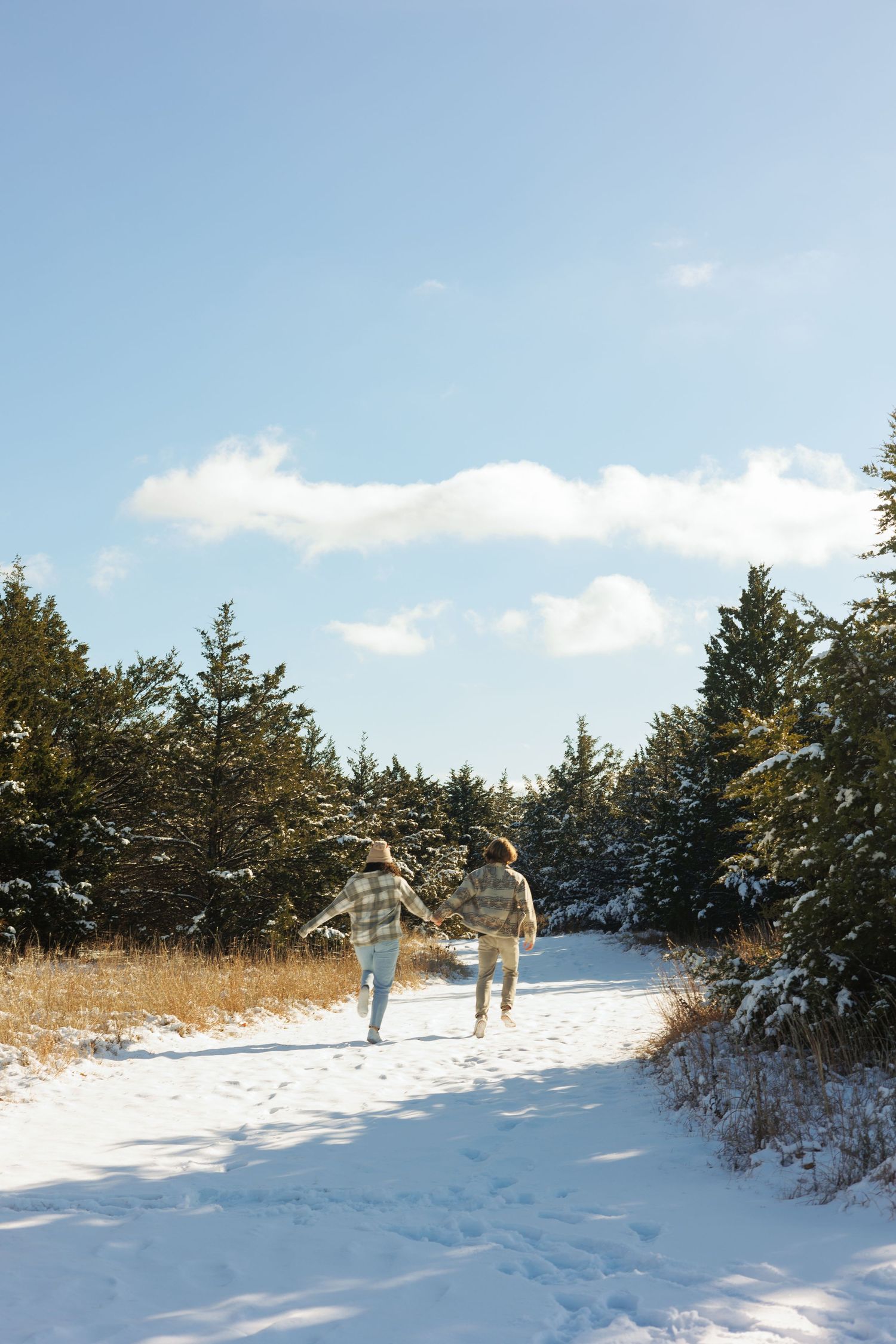 Snow-covered trail through evergreen trees under bright blue winter sky.