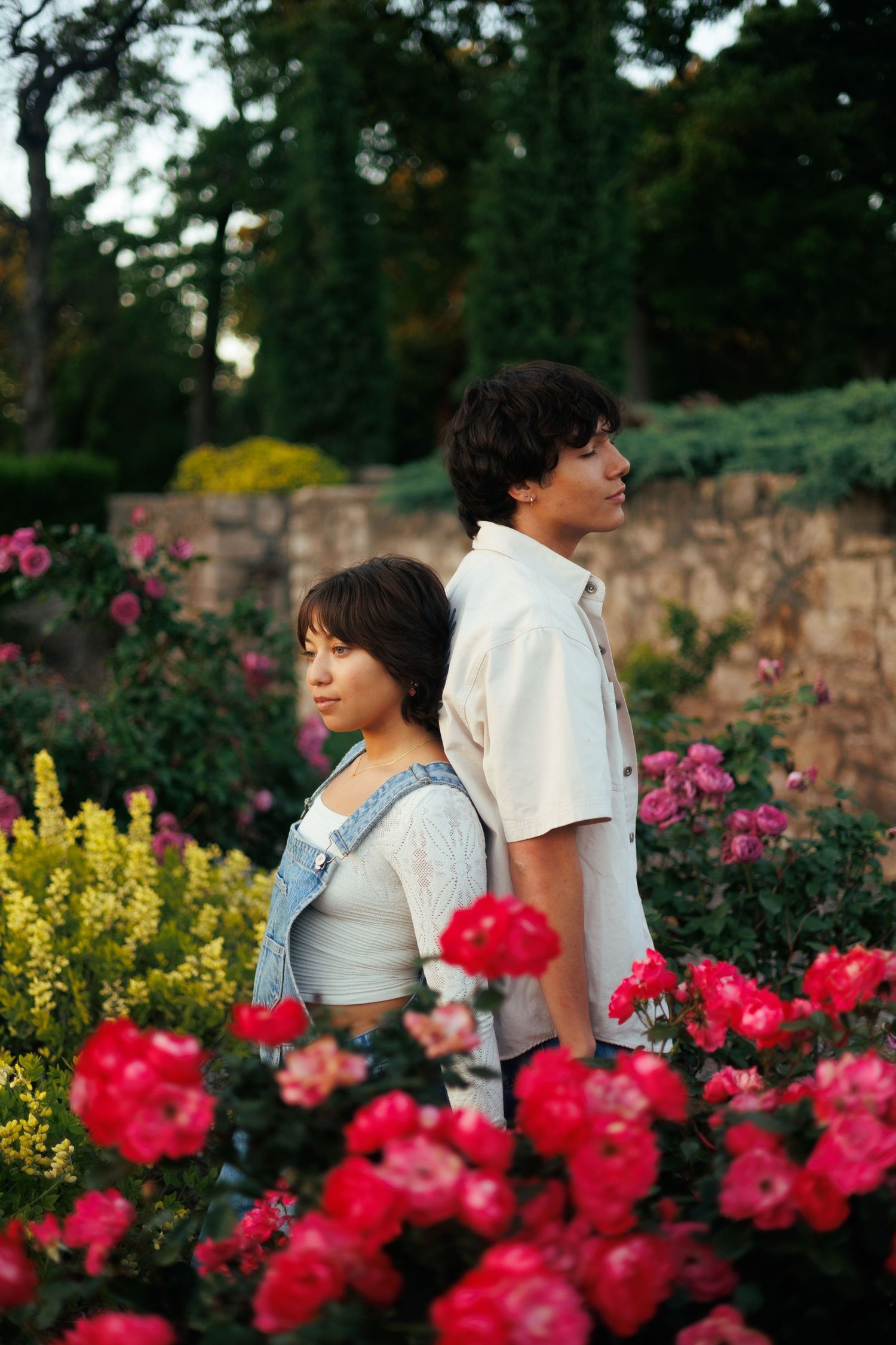 A romantic scene among blooming red roses in a garden.