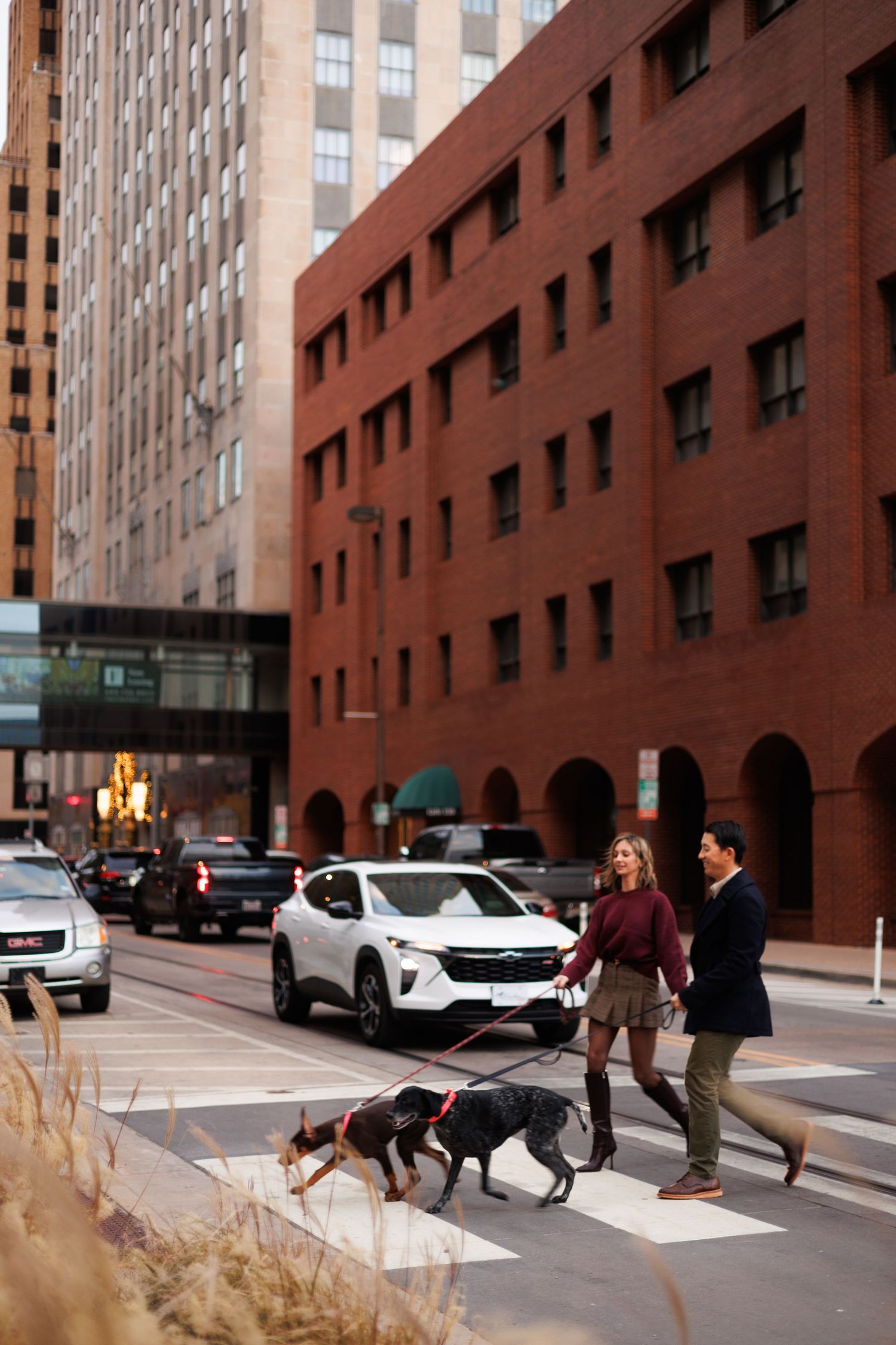 Walking dogs along an urban sidewalk beside brick buildings and parked cars.