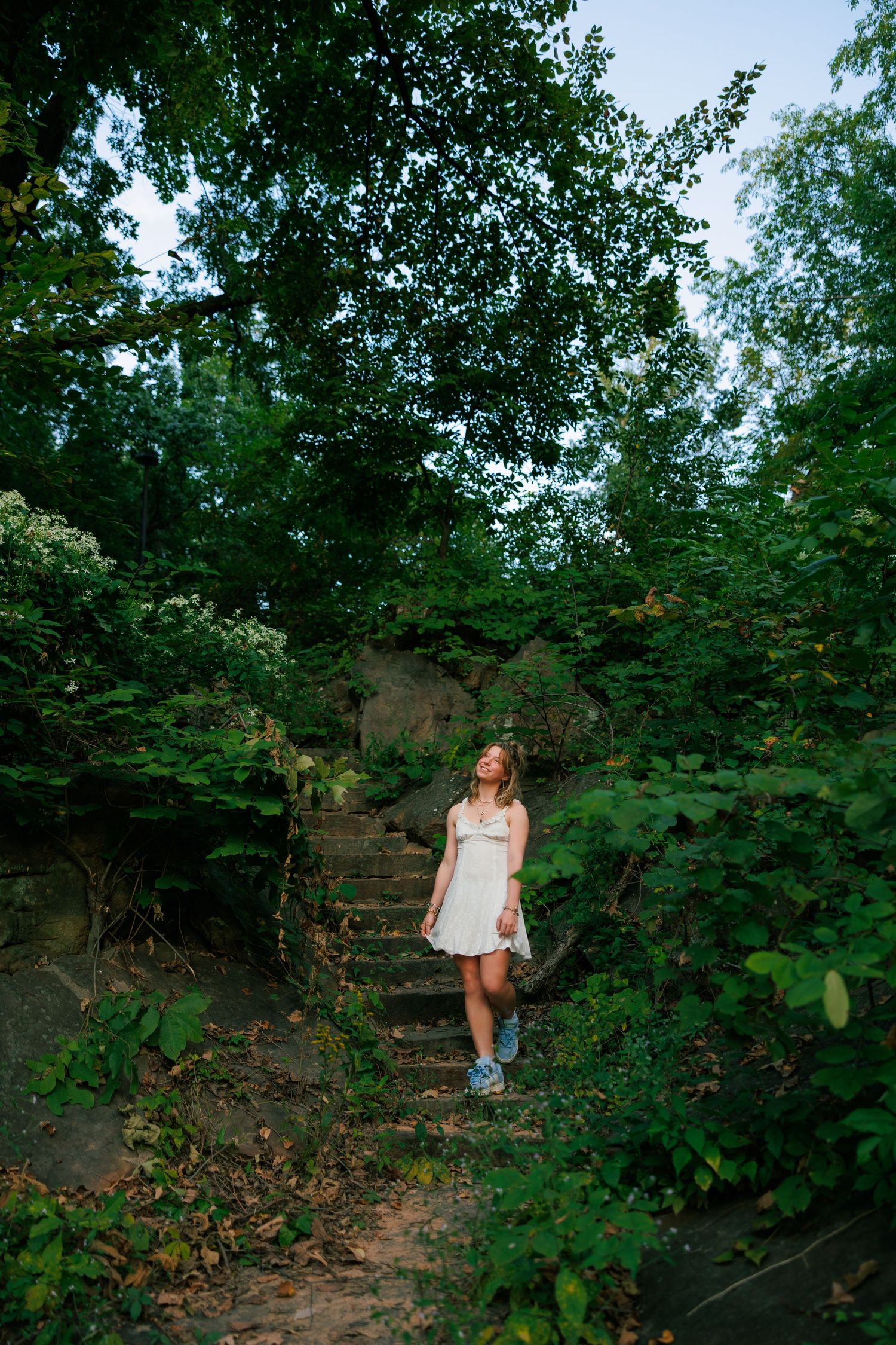 A wooded path winds through lush green summer foliage.