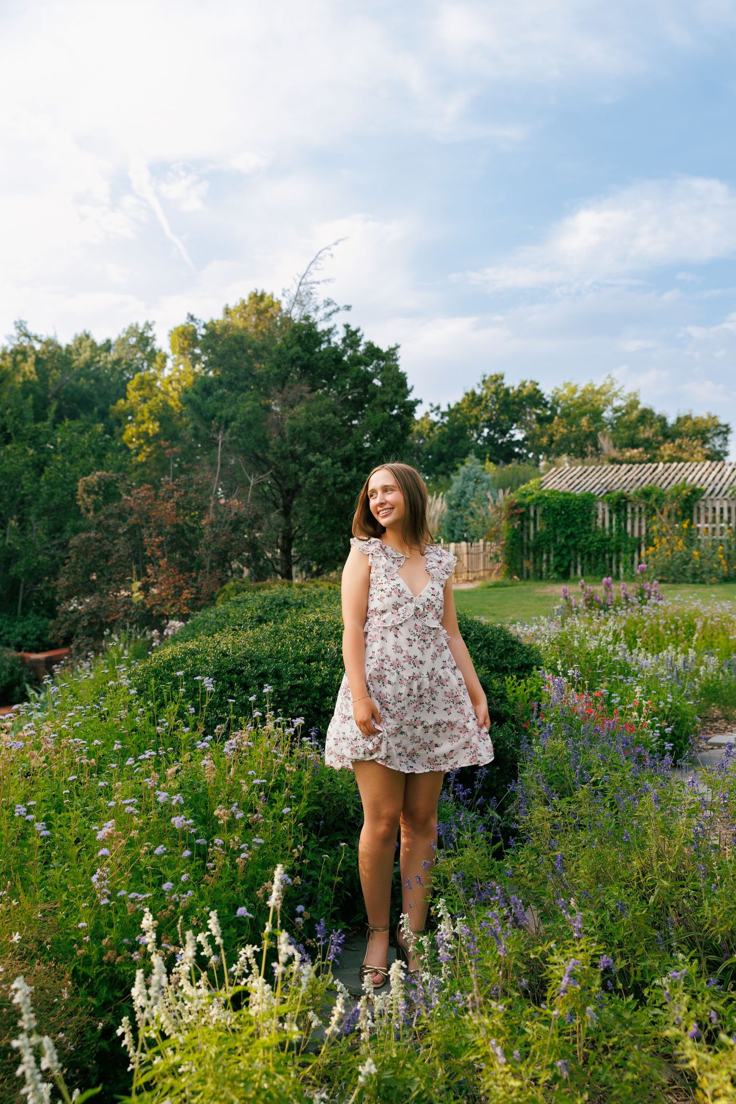 A wildflower garden in full bloom with purple and white flowers under a bright blue sky.