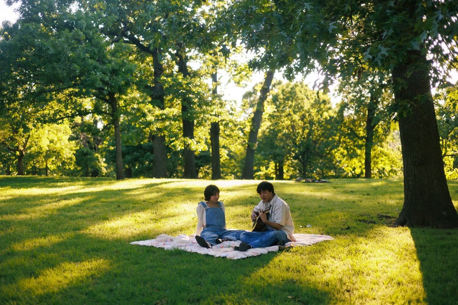 People lounging on blankets in a sun-dappled park during late afternoon.