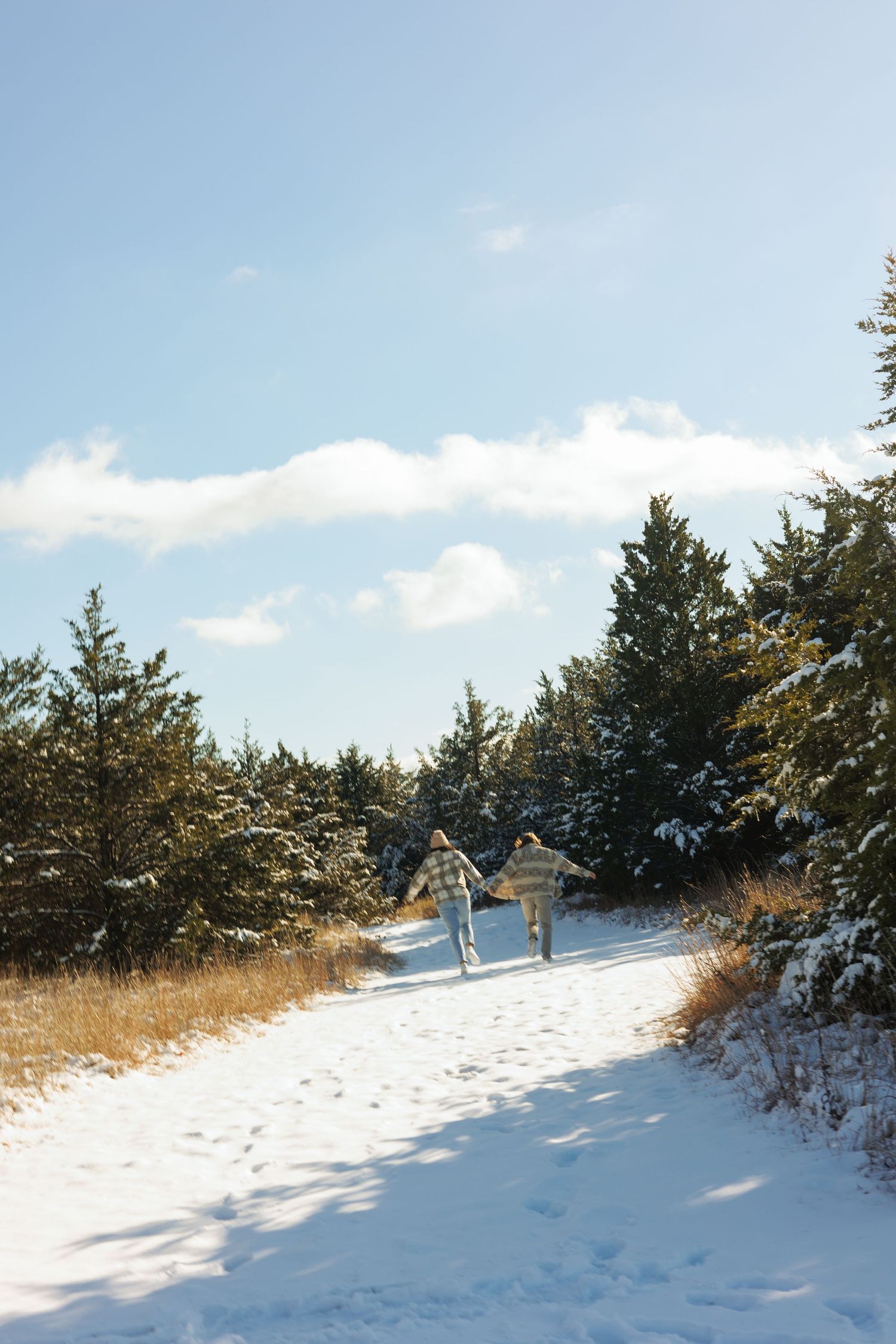 Two figures walking down a snowy path lined with evergreen trees on a bright winter day.