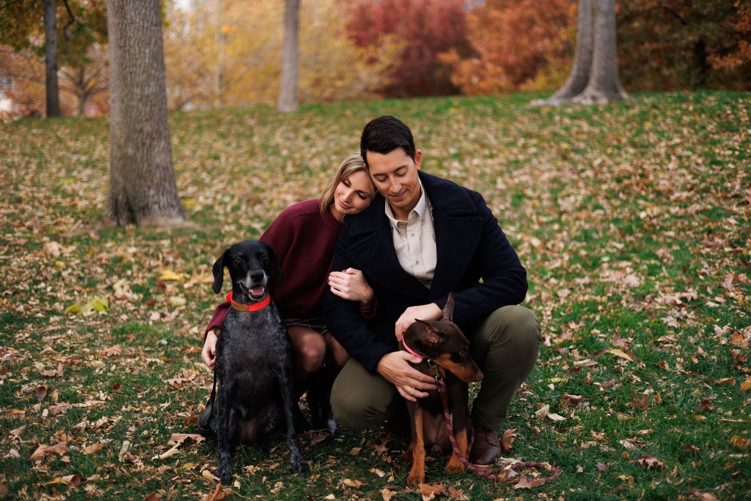 Two dogs and their owners enjoying a moment together on fallen leaves in an autumn park setting.