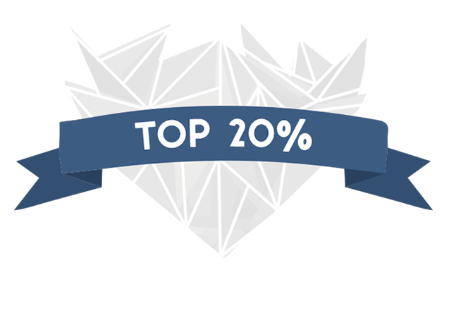 Navy blue banner design with 'TOP 20%' text and geometric pattern elements.
