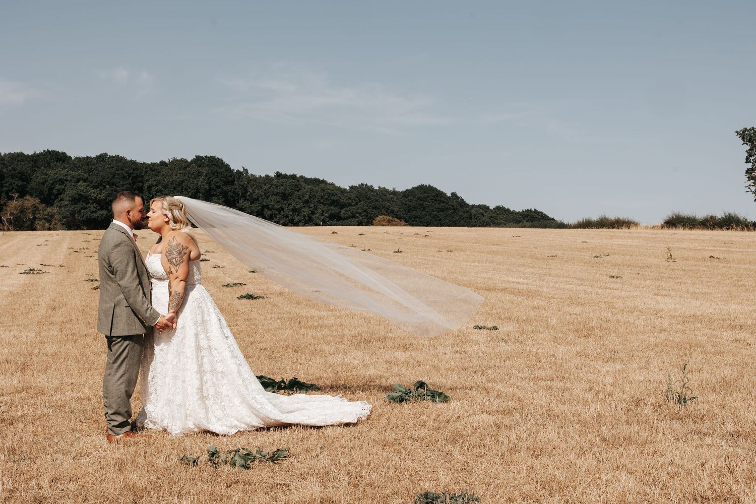 Bride and groom share a romantic kiss in a golden field with veil flowing in the wind on their wedding day.