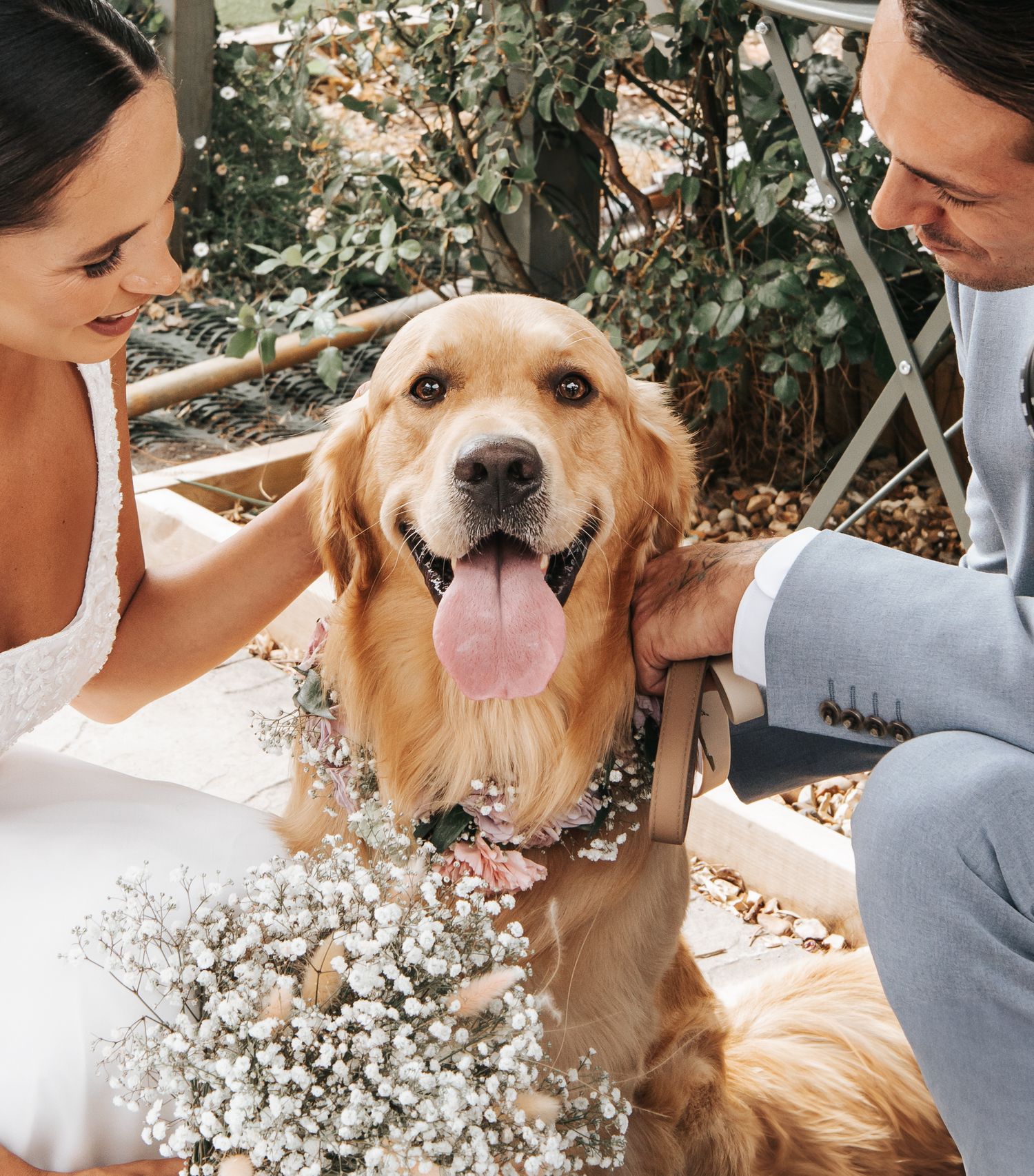 Happy Golden Retriever wearing a floral collar smiles during wedding photos.