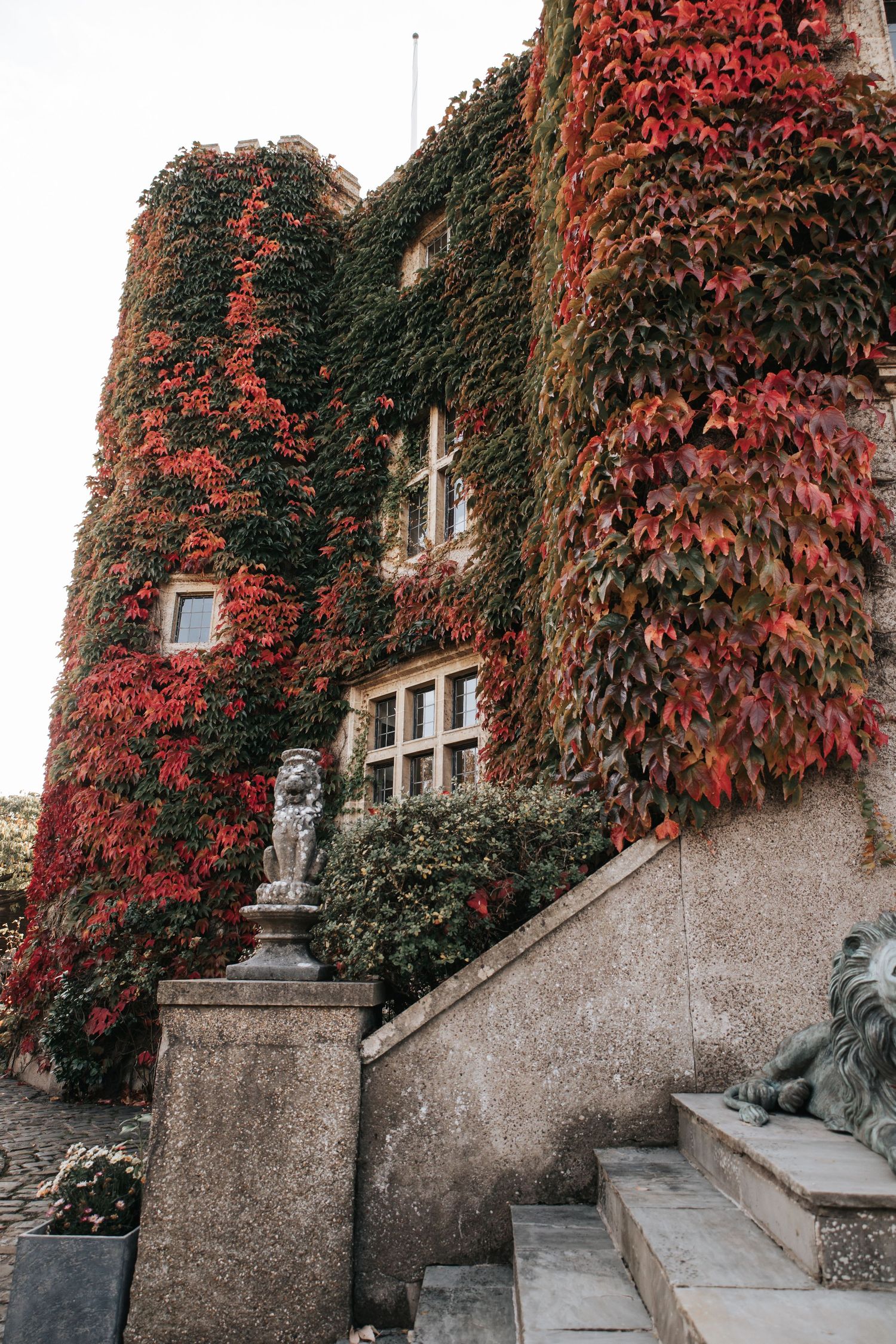 Historic castle covered in vibrant red and green ivy vines in autumn, with stone lion statues flanking a staircase entrance.
