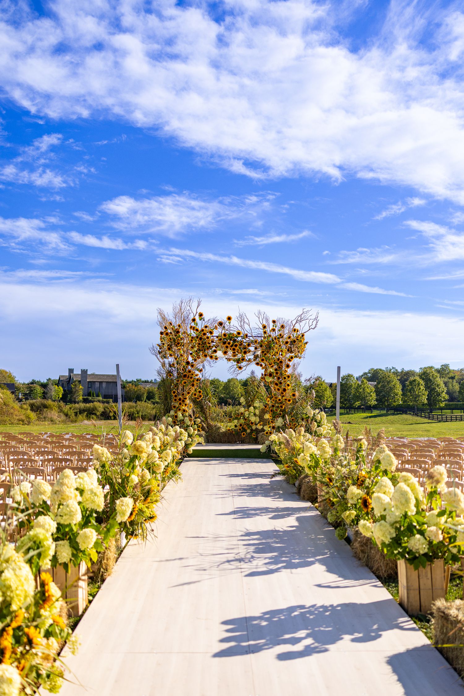 Outdoor pathway lined with yellow flowers and greenery under bright blue skies on a sunny day.