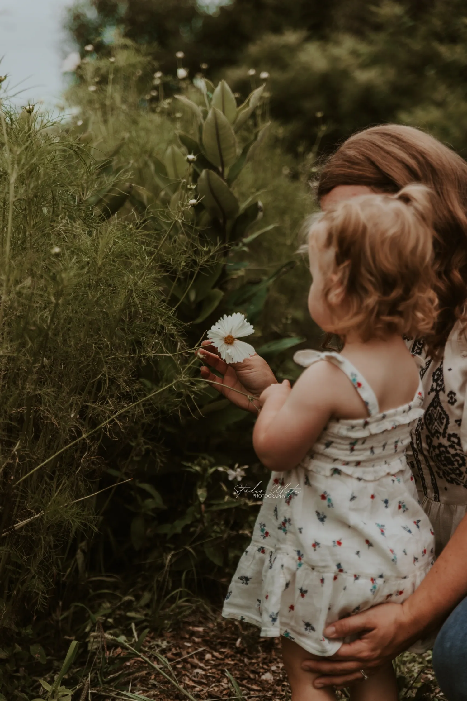 A small child in a floral dress reaches out to touch a daisy while standing in a lush garden setting at dusk.