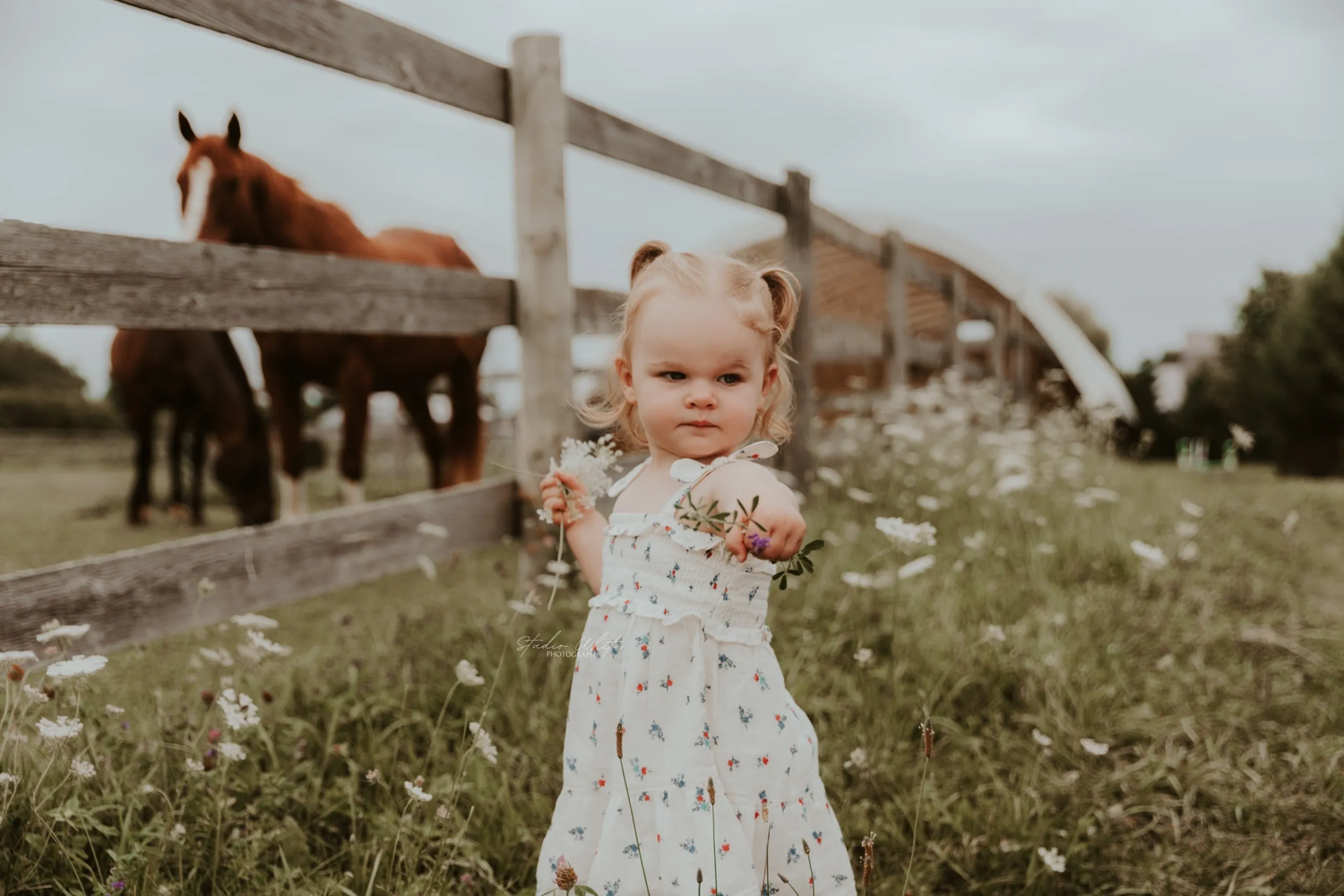 A collection of candid outdoor family moments captured in a rustic countryside setting with wildflowers and natural scenery.