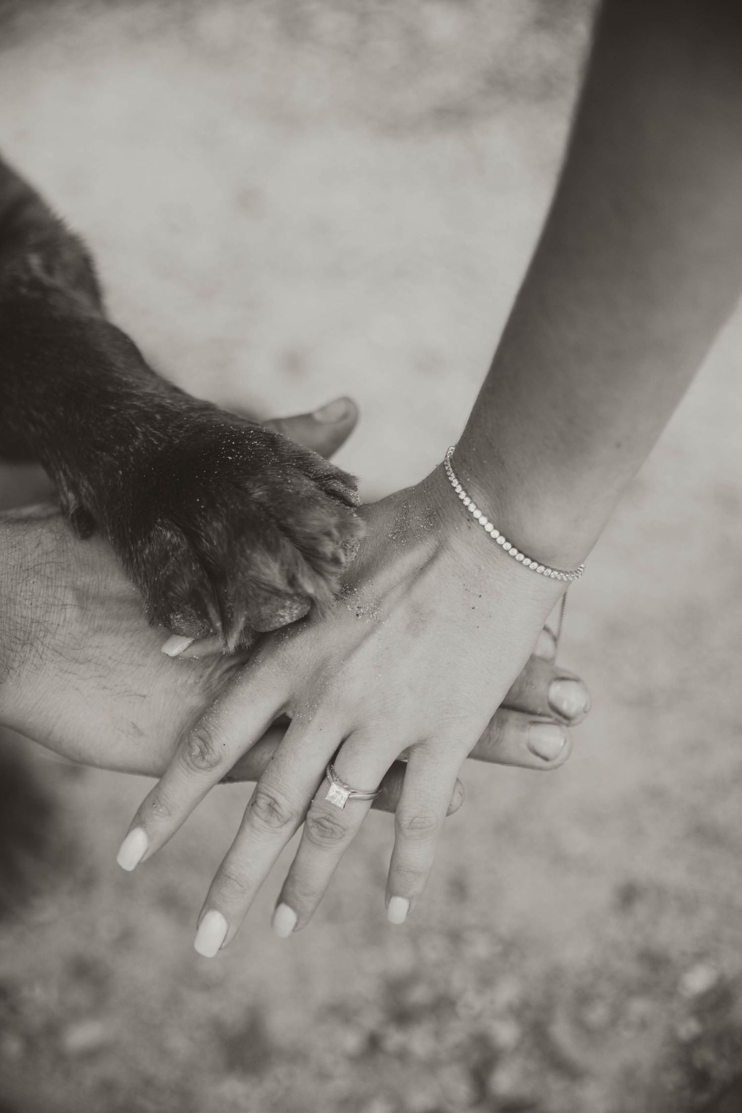 Detail shots of hands with rings and bracelets against a textured background.