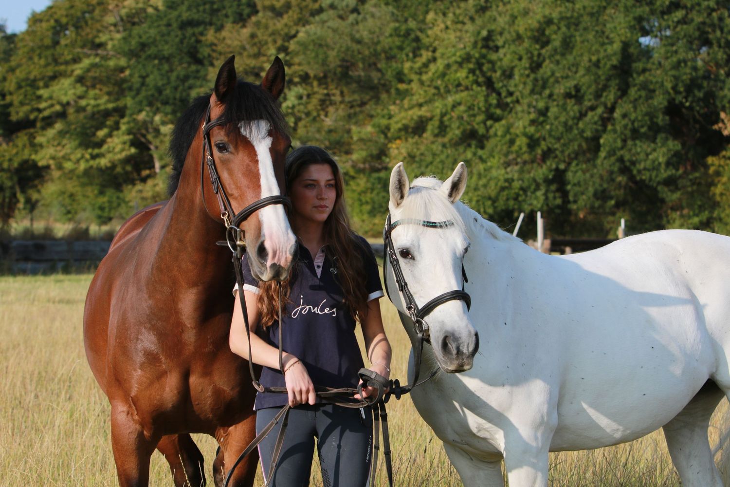 2 horses and rider, equine portraiture photography