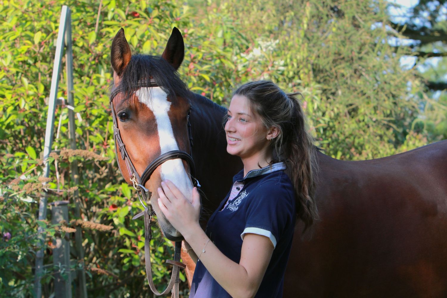 Horse and rider portraiture photography