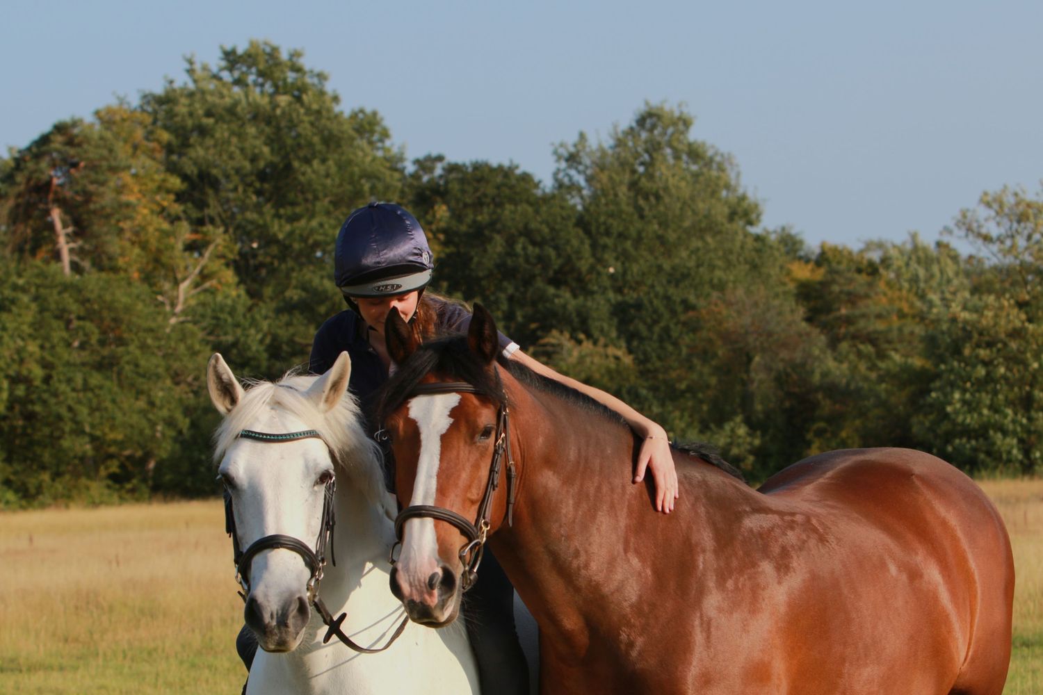 2 horses and rider, equine portraiture photography