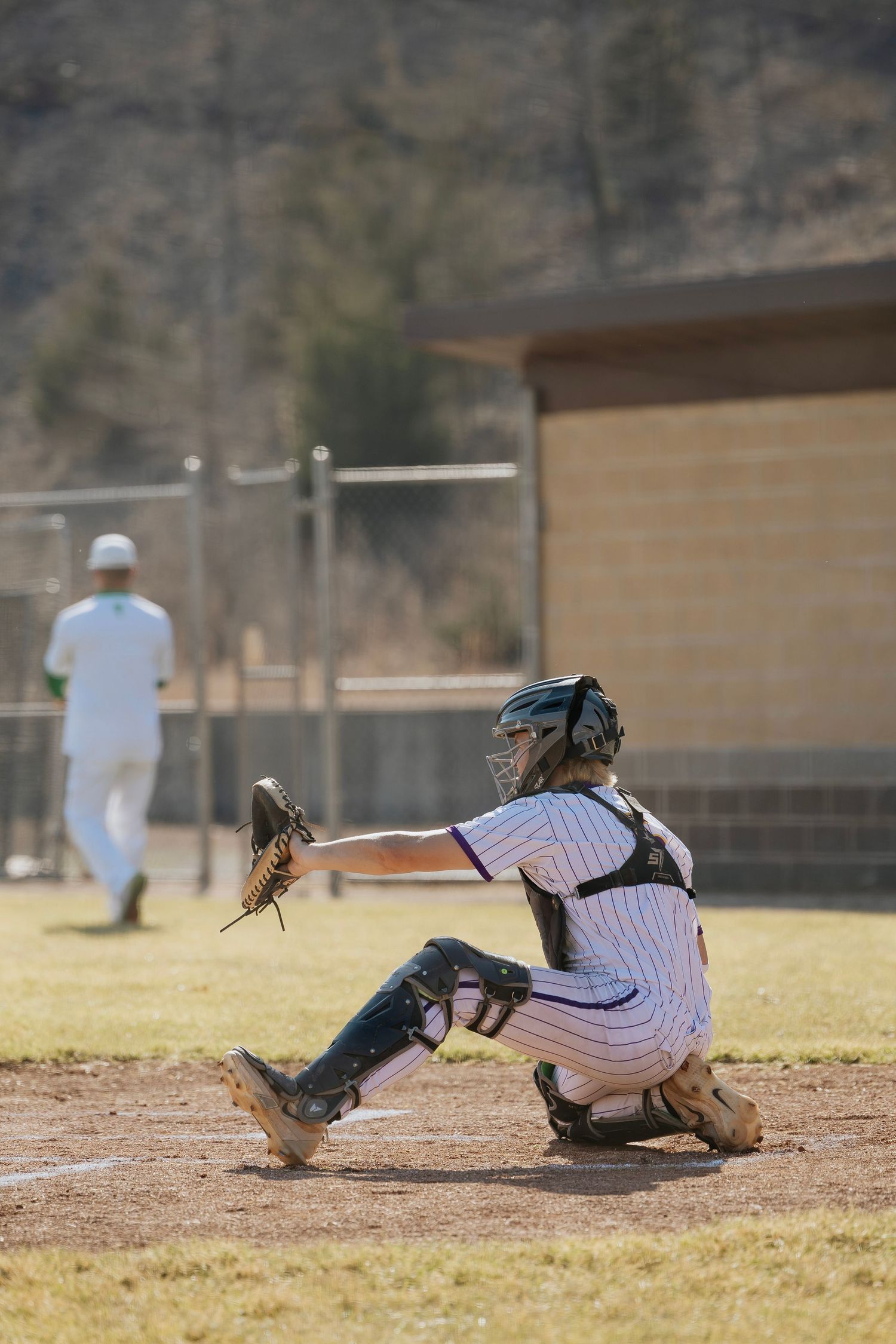Baseball catcher in full gear crouching at home plate ready to receive a pitch during a daytime game.