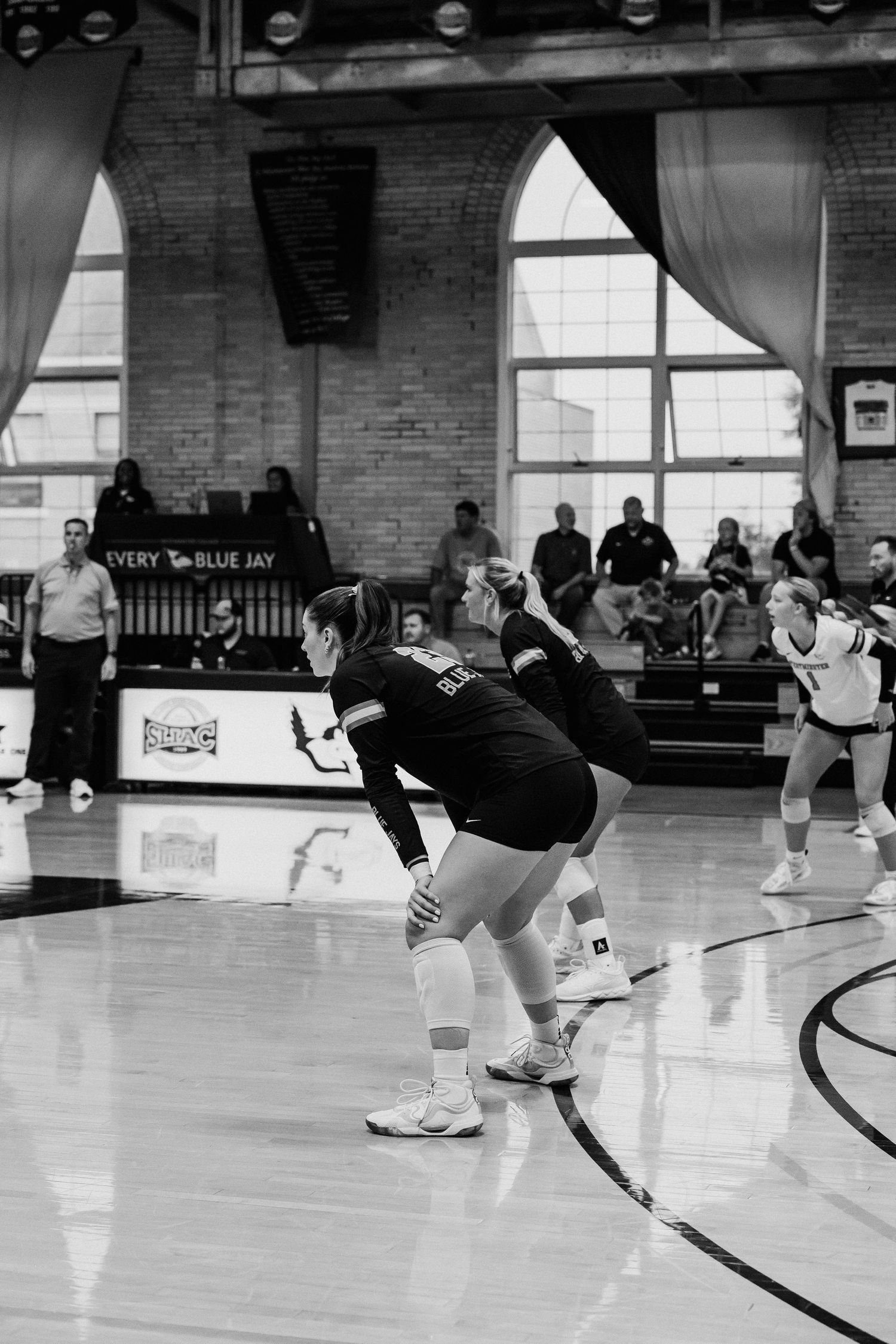 Black and white photo of female volleyball player in ready position during indoor match at Westminster gym.