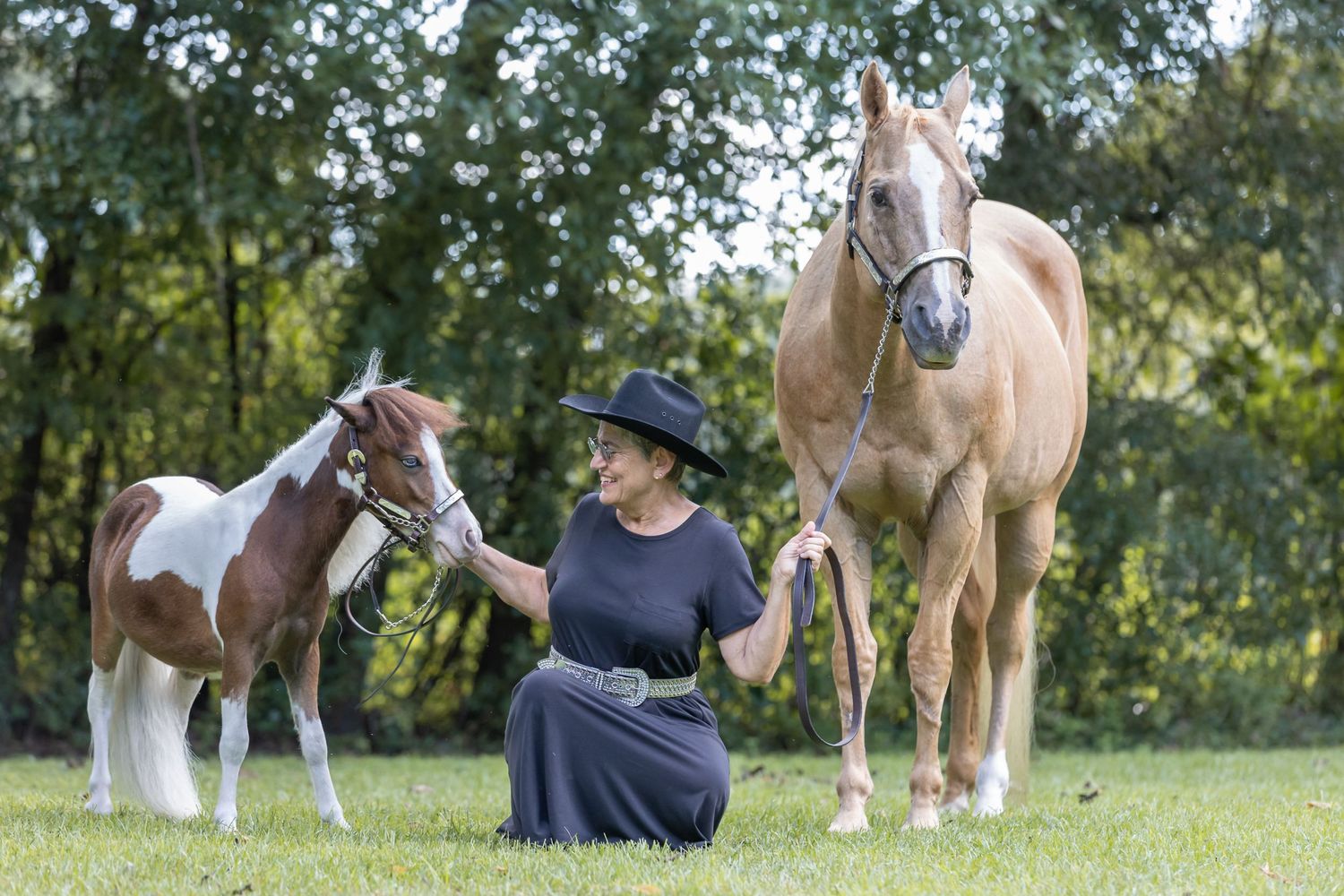 AQHA palomino horse, equestrian and miniature horse posed in field for a horse and equestrian portrait session taken in Newberry Florida