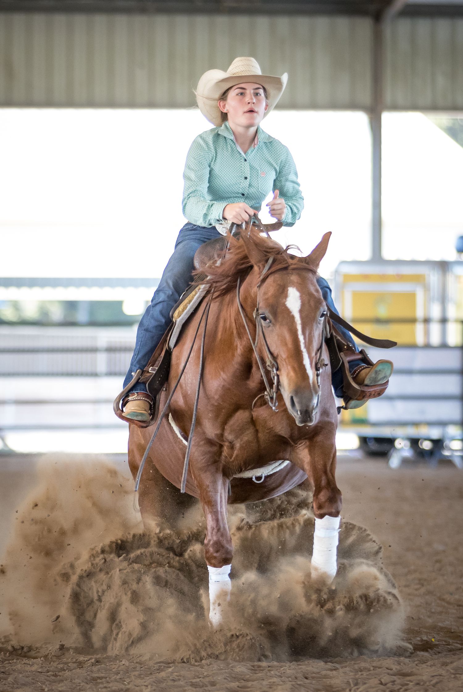Reining horse kicking up dust while performing a sliding stop in western riding competition at the Florida horse park, lets go show event.