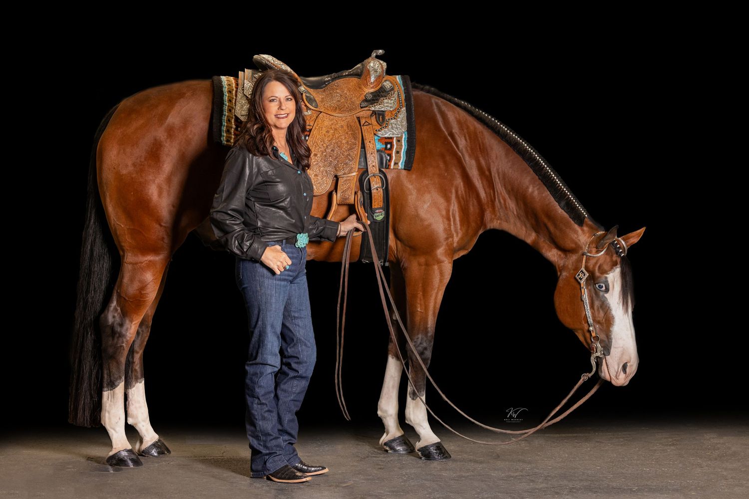 Black background session at the World Equestrian Center 2024 Ocala Florida Equestrian and Horse sessions with Keli Wakeley Photography