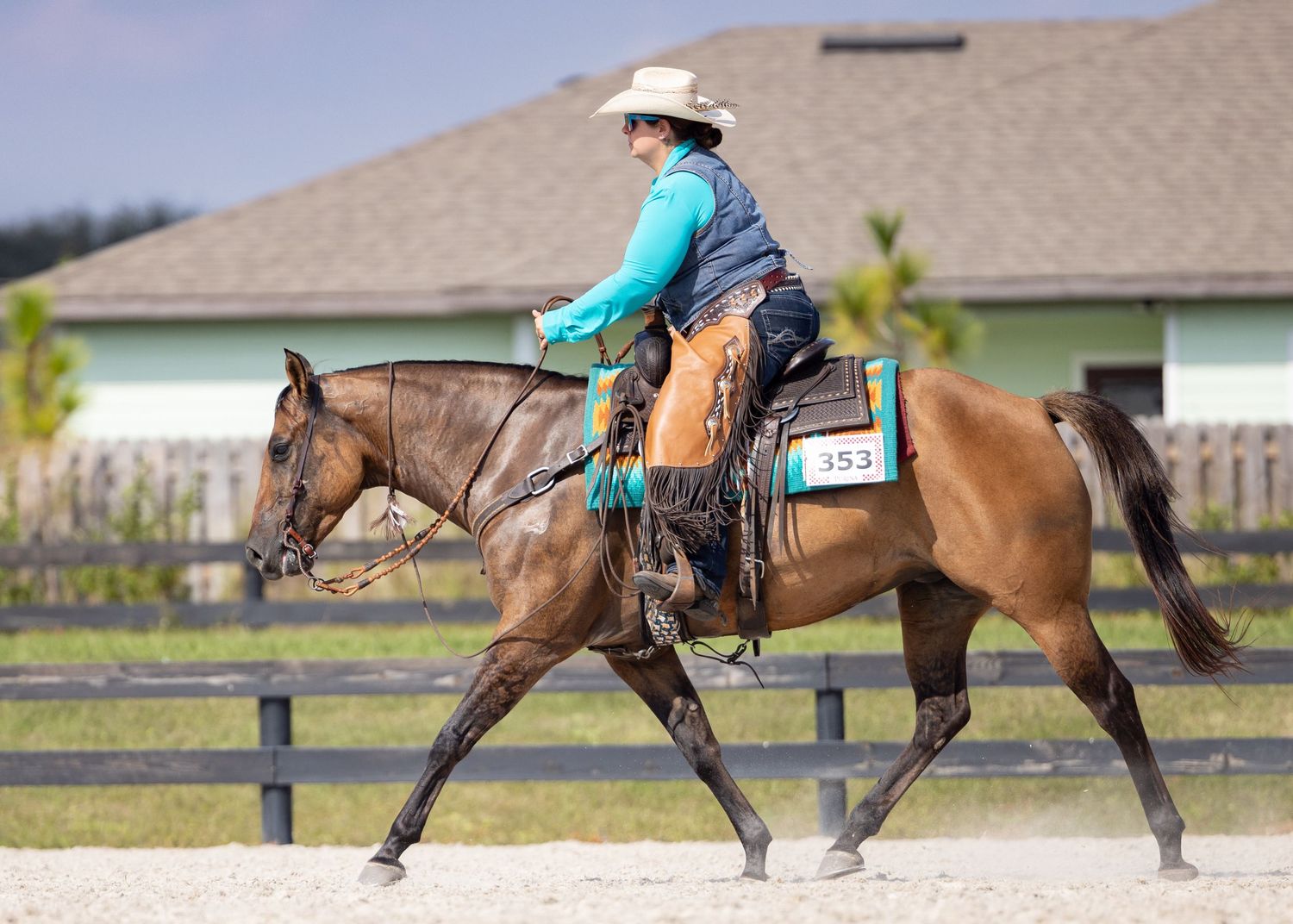 Bay ranch horse showing ranch trail at the FCHC show in Alachua County. Florida horse shows, Keli Wakeley Photography official photographer