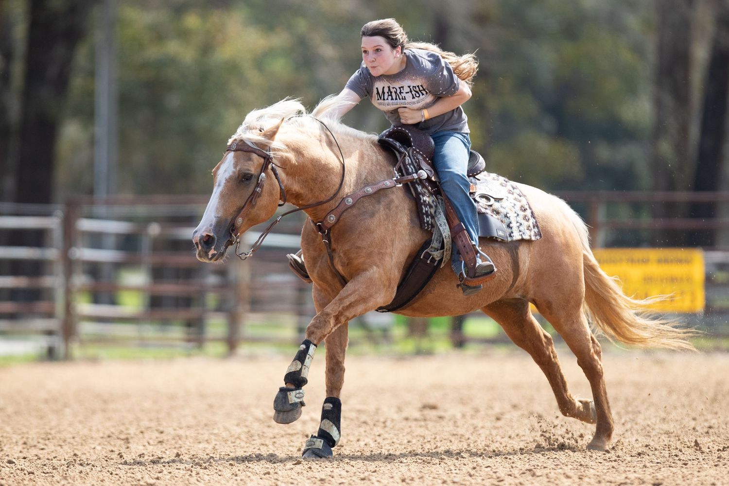 Horse and rider barrel racing at full gallop in barrel racing competition at the Williston horse park Florida