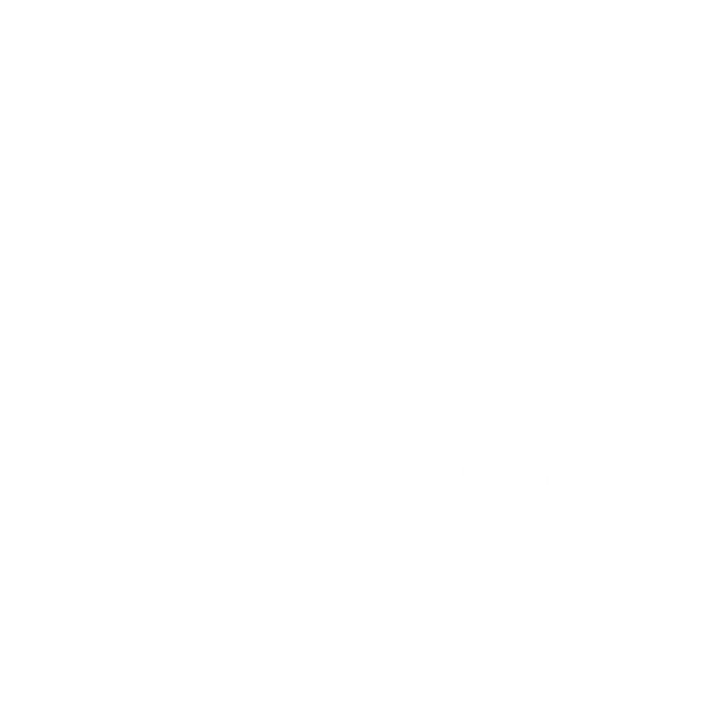 Simple line divider graphic in black.