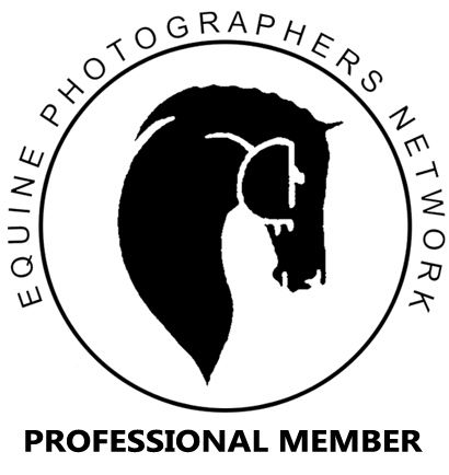 Professional photographers association membership badge. Keli Wakeley Photography member of equine photographers network.