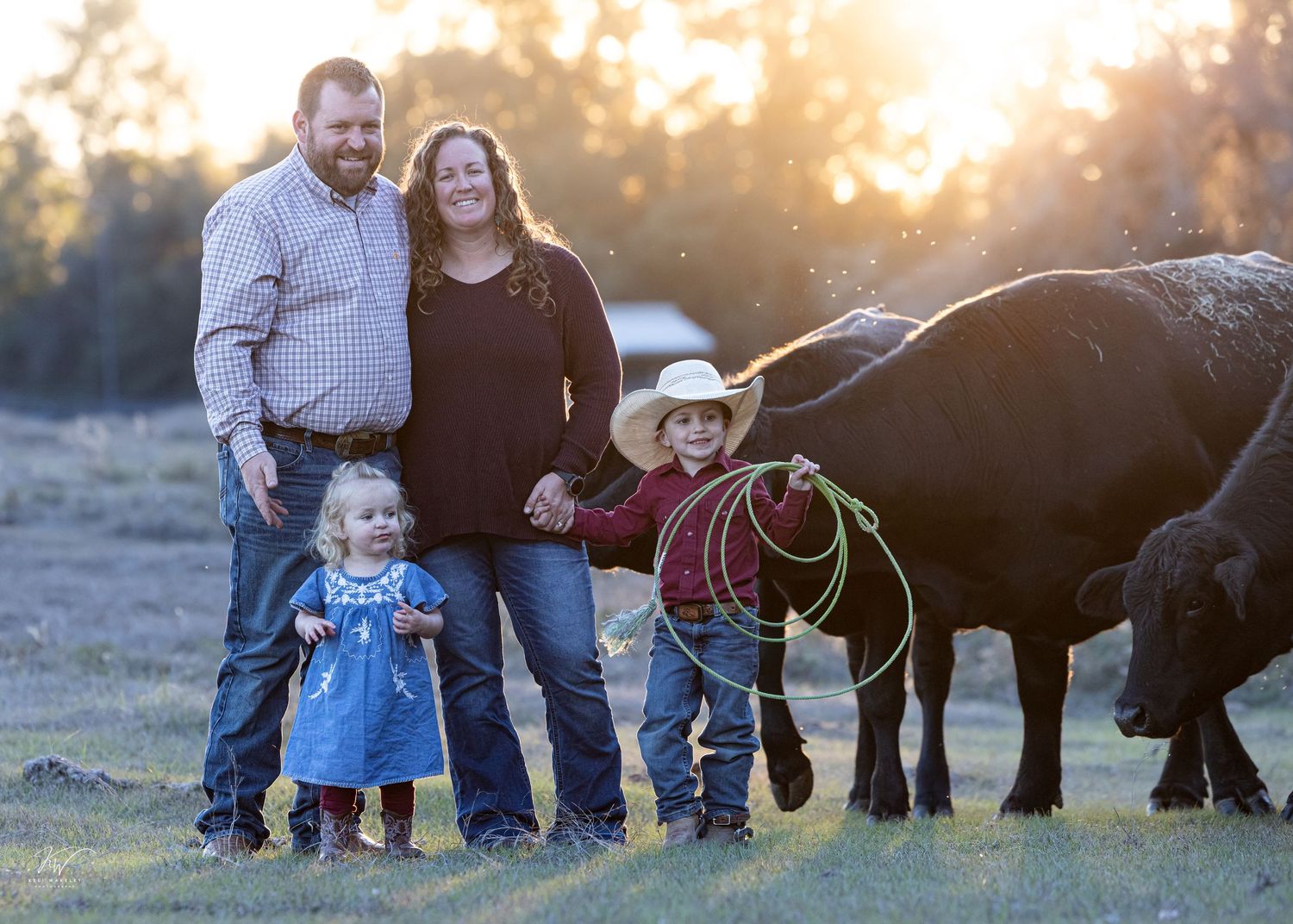 Family portrait session with two children posing with black cattle  at golden hour on a ranch in Newberry FL. Keli Wakeley Photography