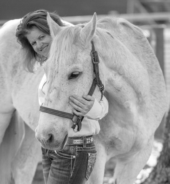 Black and white artistic series of close-up shots showing gray horse with halter. Keli Wakeley Photography