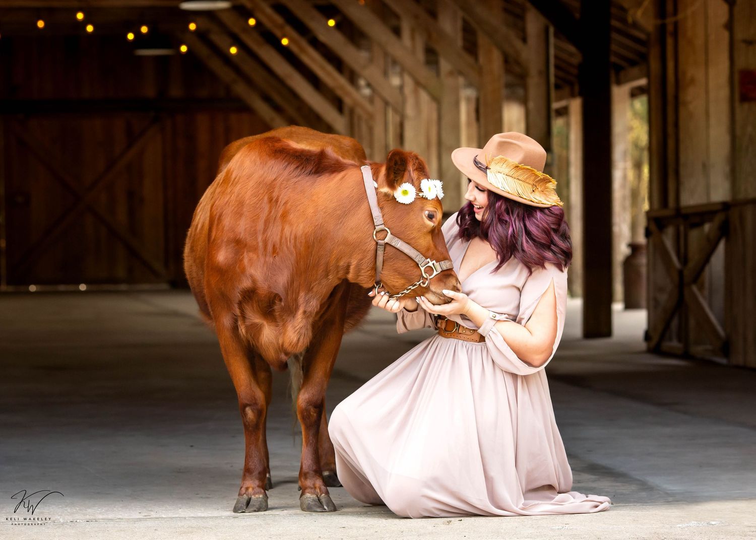 A person in a pink dress kneels beside a red cow in a rustic barn setting with dramatic lighting.