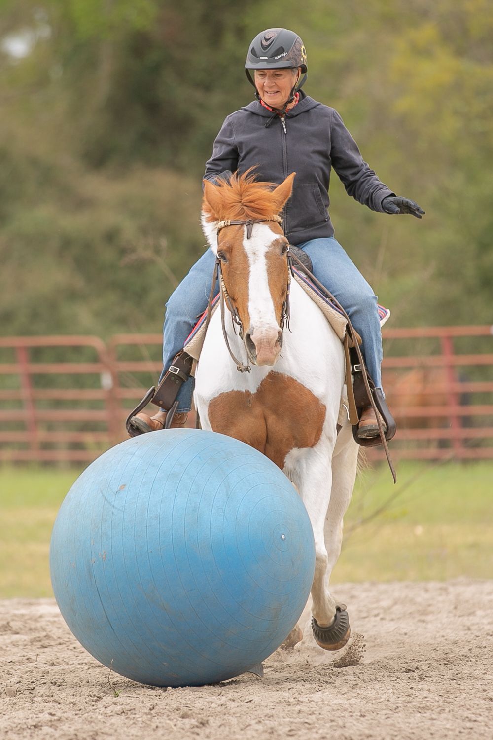 Horse with rider practicing ball desensitising exercises during a clinic with Najorka performance horses in Fort White Florida, Keli Wakeley