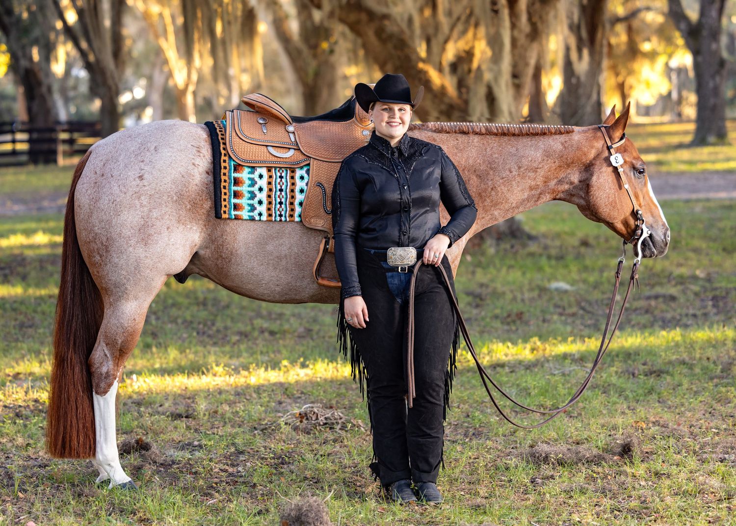 APHA show at the World Equestrian Center, Ocala Florida. Equestrian and horse portrait session with Keli Wakeley Photography