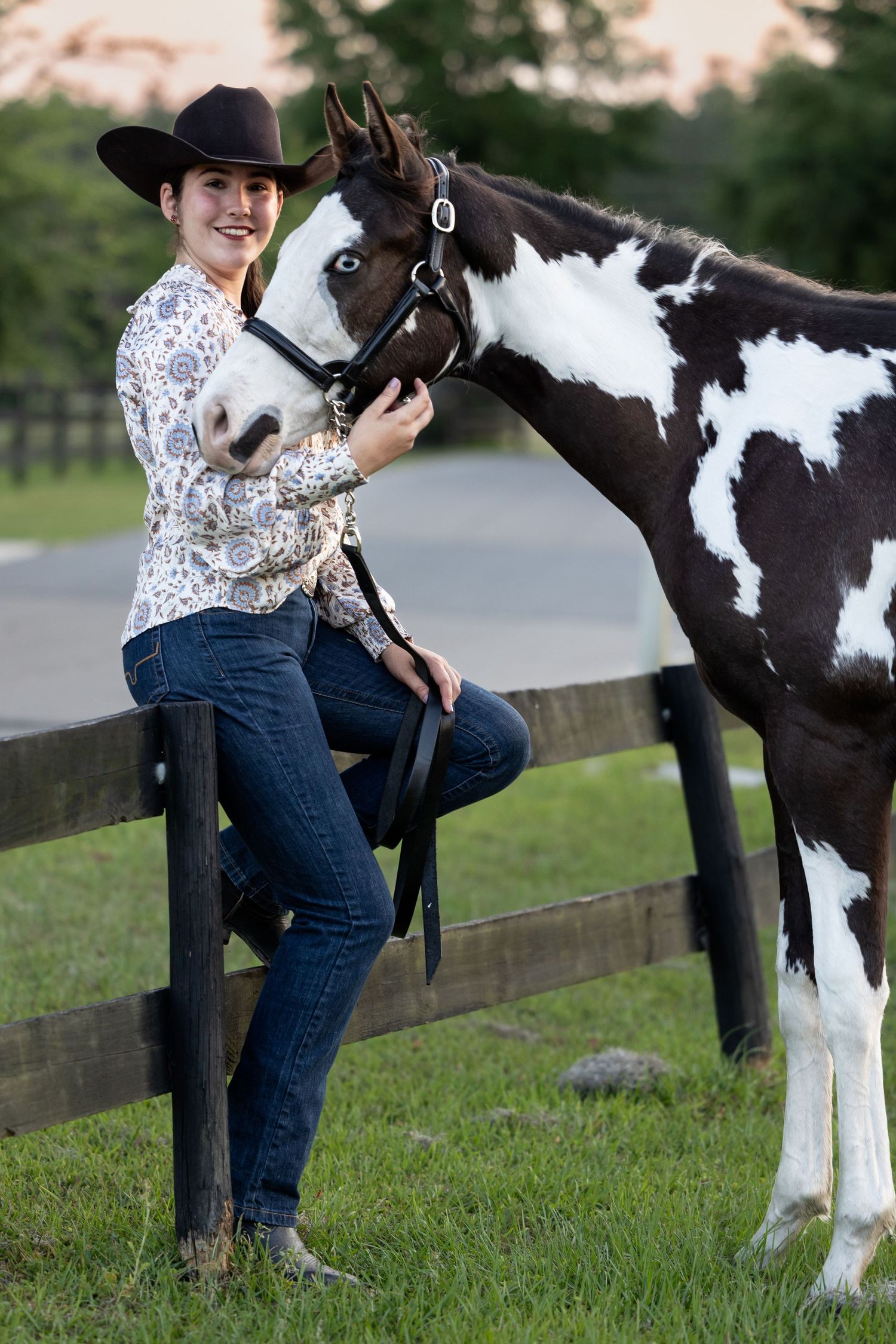 Portrait session with equestrian and APHA yearling horses Alachua Agricultural & Equestrian Center. Keli Wakeley/Keli Wakeley Photography