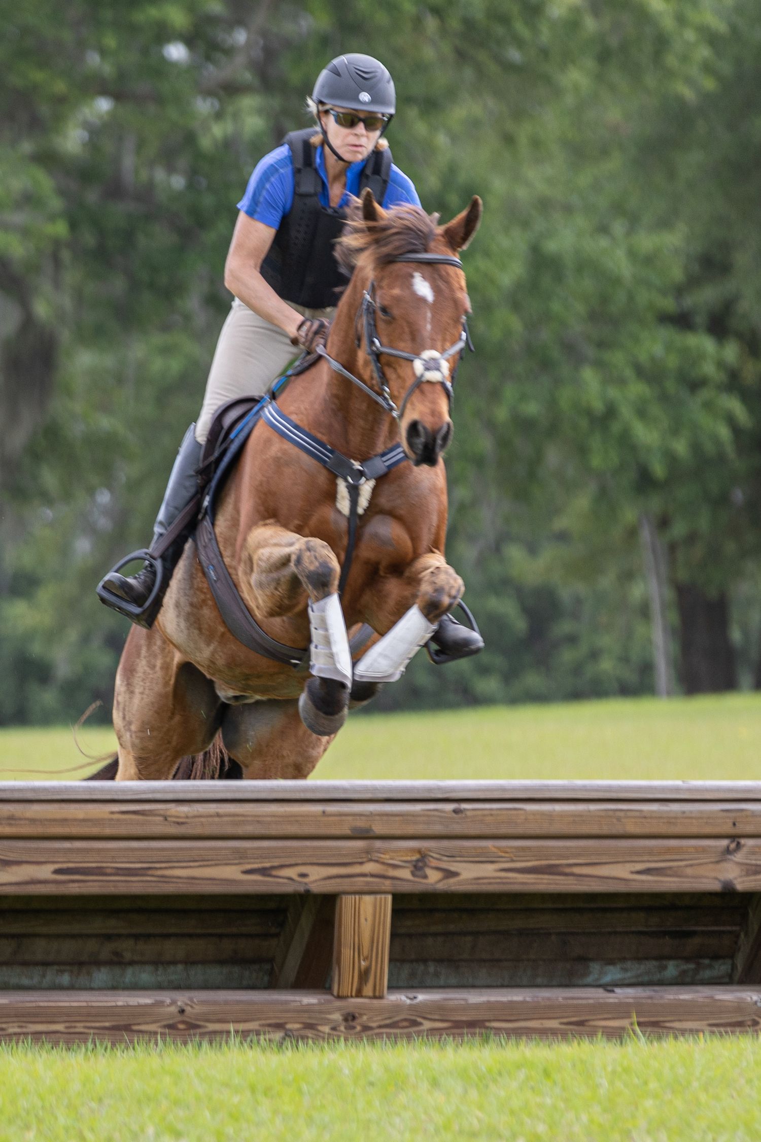 Horse and rider pair jumping during a cross eventing clinic at majestic oaks farm Ocala Florida captured by Keli Wakeley Photography