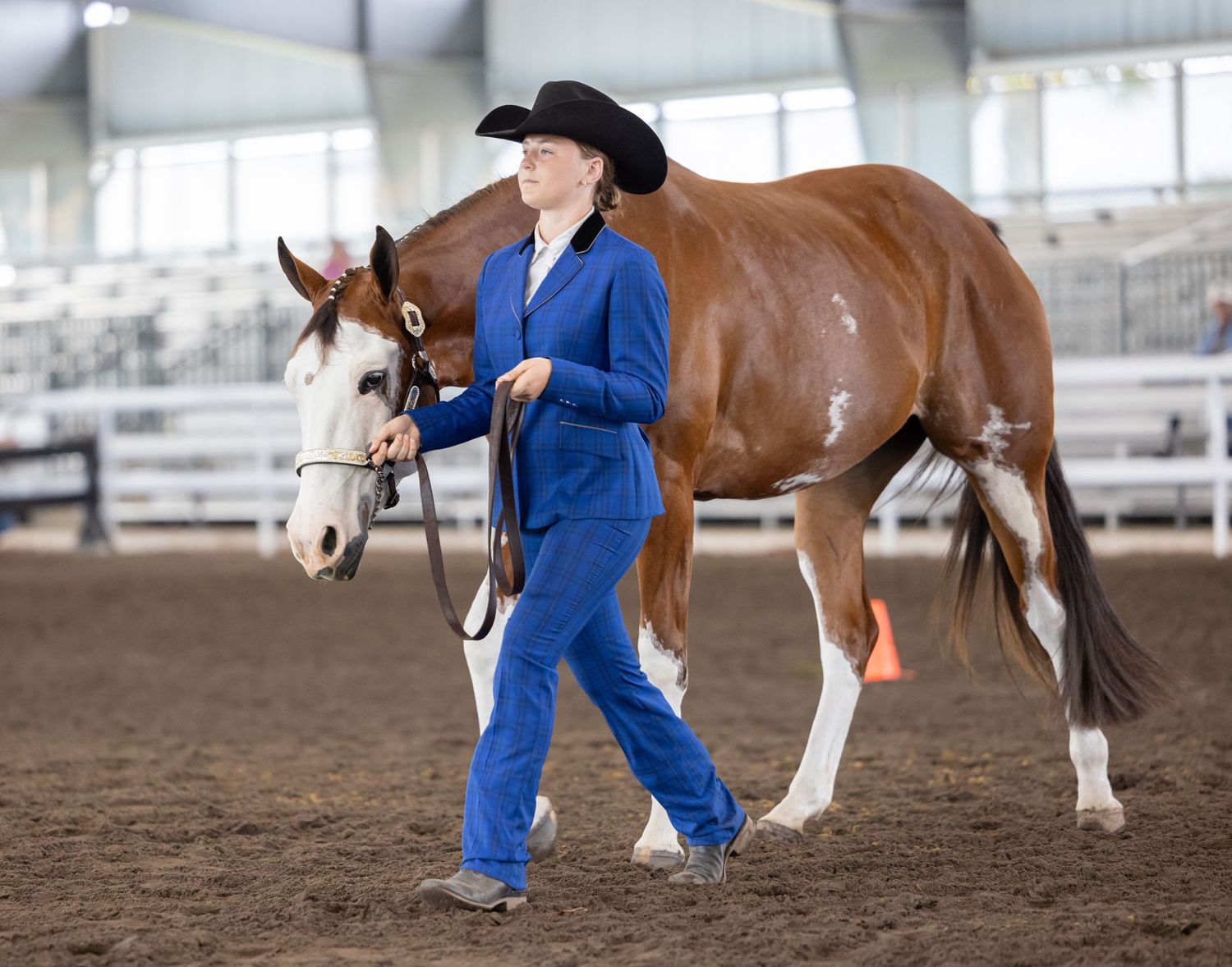 APHA horse and equestrian handler during showmanship competition in Alachua Florida. Keli Wakeley Photograpy official photographer.