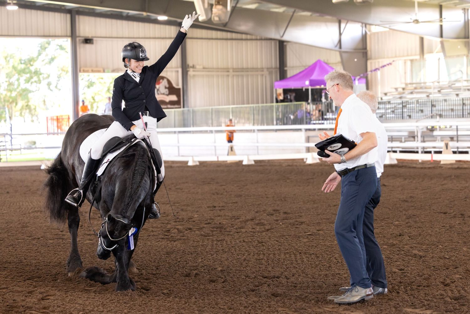 dressage horse winning show at the  barock pinto inspection 2024 in a Alachua county.