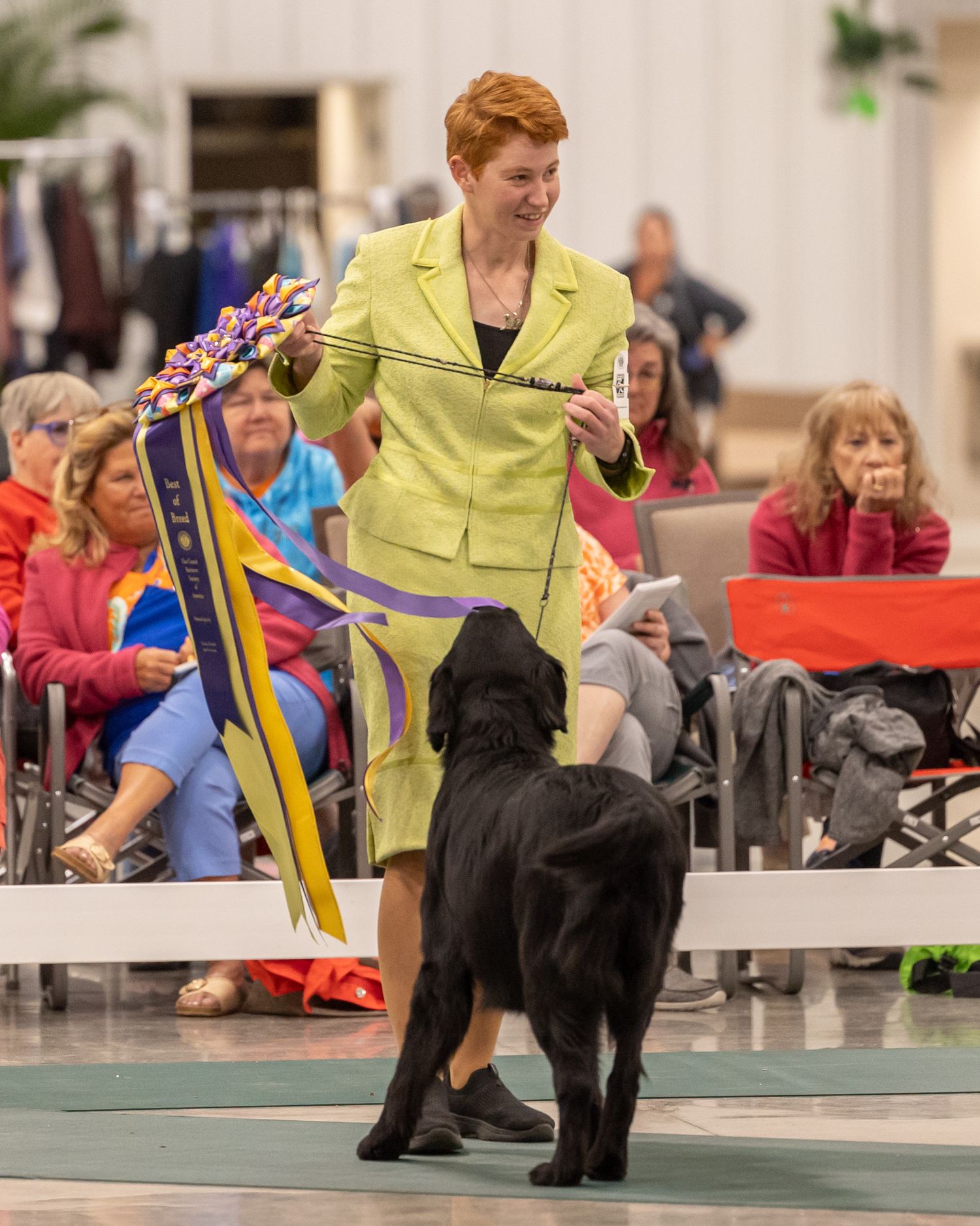 Flat coat retriever Dog and handler  showing winning best of breed at the FCRSA event at the World Equestrian Center Ocala Florida 2024