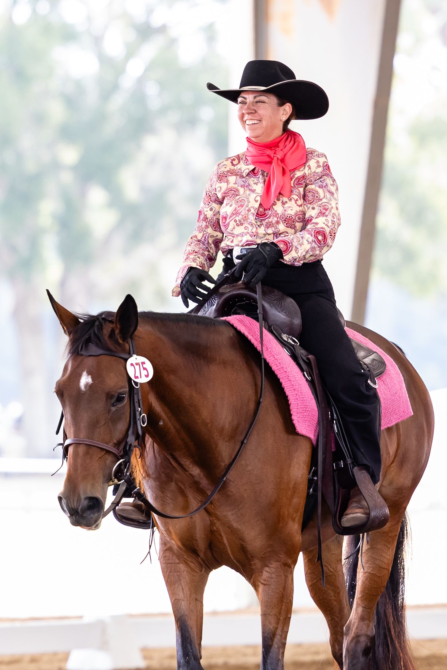 A rider in pink and black attire performs on a brown horse during a wester dressage equestrian event.