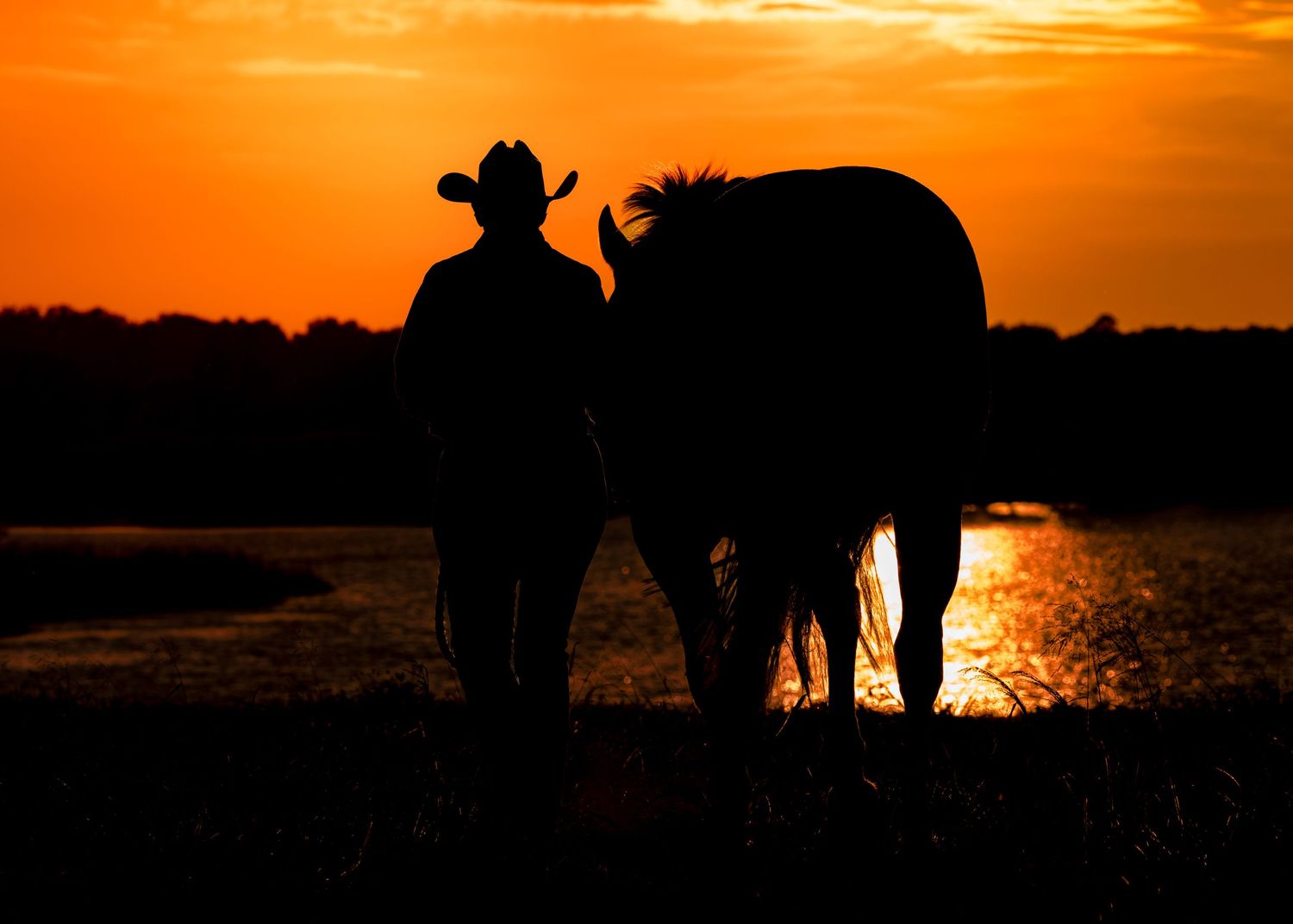 Silhouette of an equestrian and her APHA mare. Umitilla FL Keli Wakeley/Keli Wakeley Photography