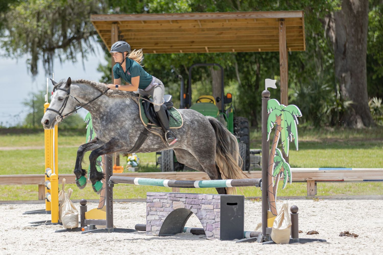 Series of images showing horse and rider navigating yellow jump obstacles at Majestic Oaks, Ocala Florida for an eventing horse clinic.