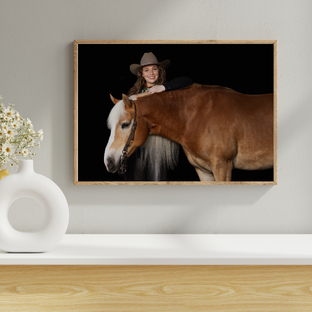Black background horse and equestrian portrait session in Ocala Florida with Keli Wakeley Photography 2024. Cupid is a hafflinger horse.