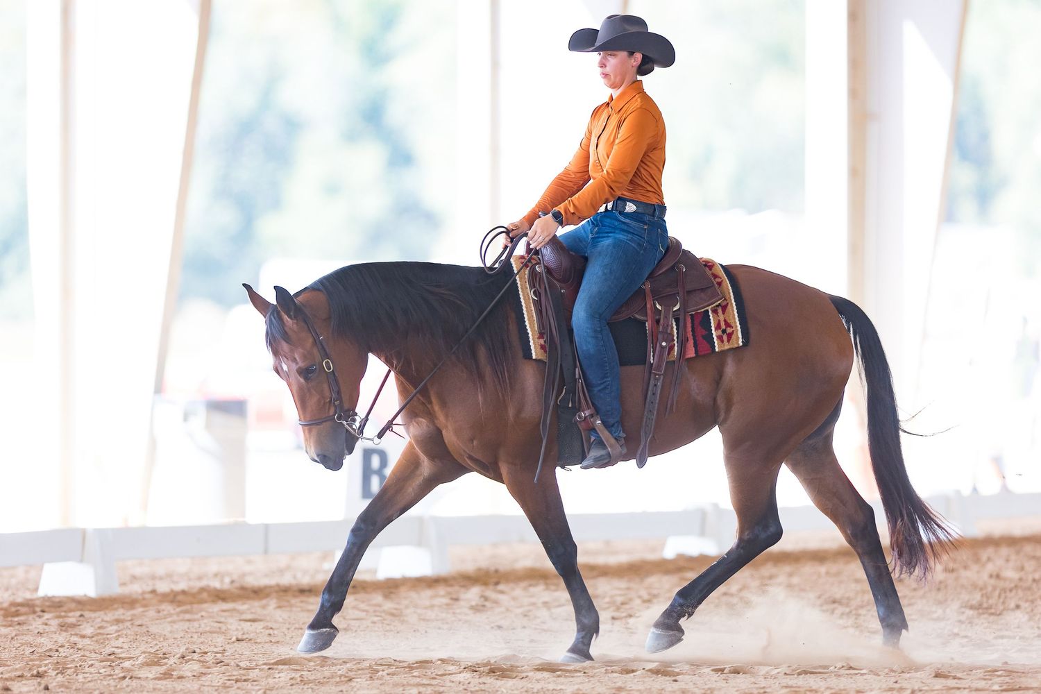 Western dressage rider guiding horse during a western dressage pattern at the WDAFLshow at the Florida Horse Park, Keli Wakeley  Photography