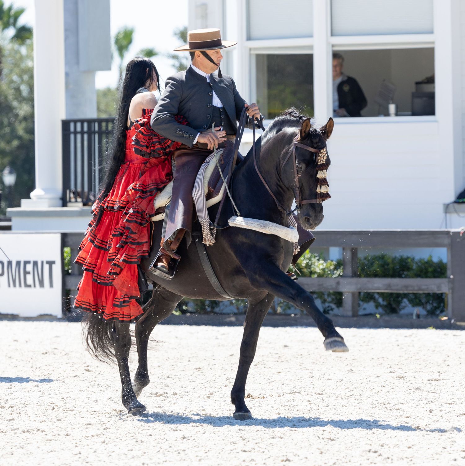 Spanish Horse  and equestrians performing in an elegant presentation at the World Equestrian Center in Ocala Florida 2024