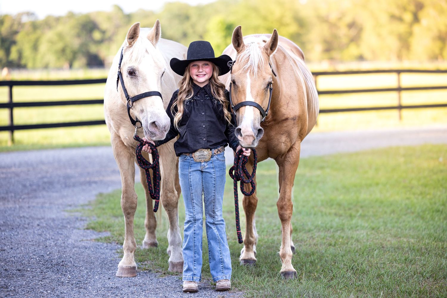 Draft horses lined up on a path with handlers in western attire.