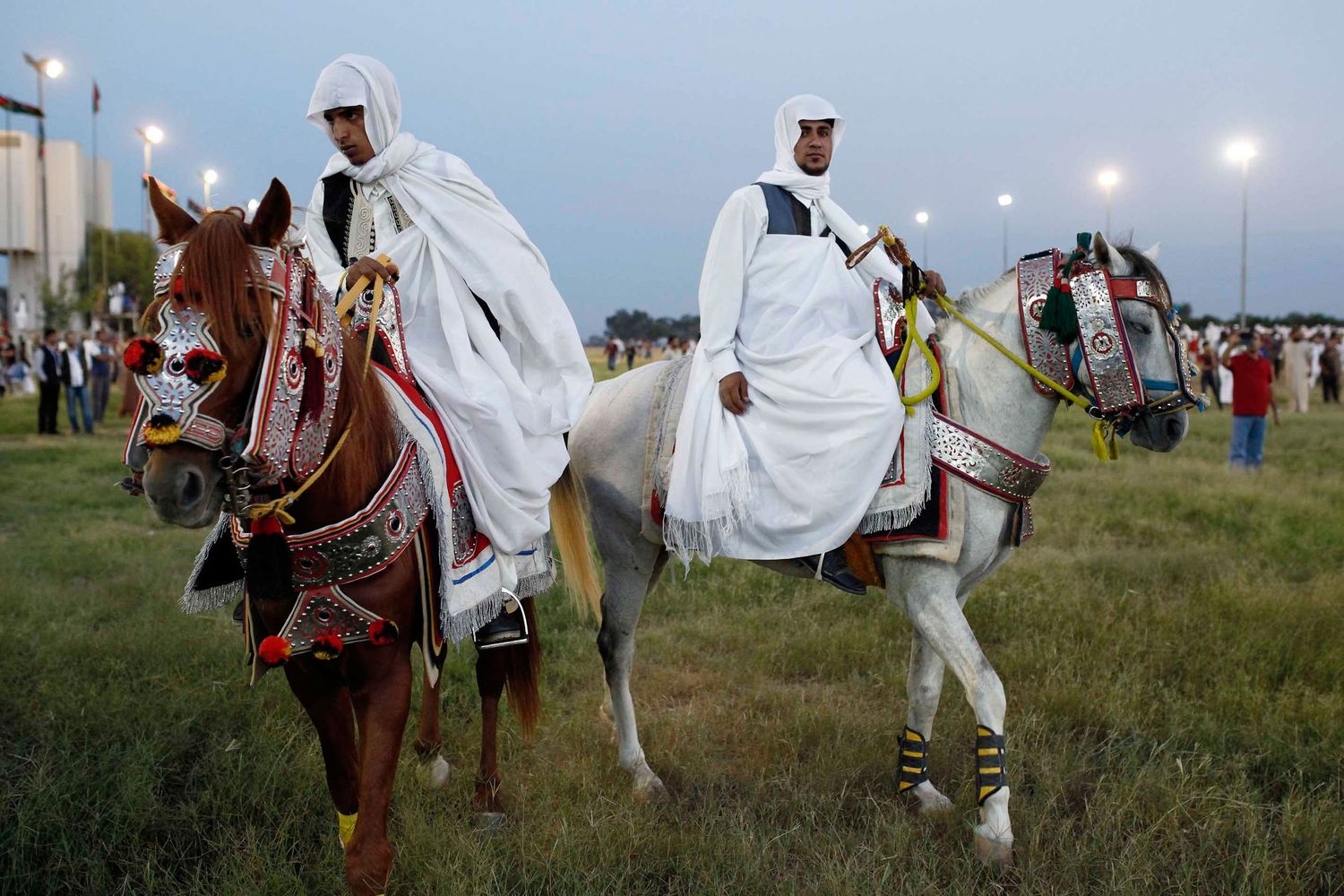 Traditional horse race in Libya — cultural event capturing heritage, pride, and equestrian skill.