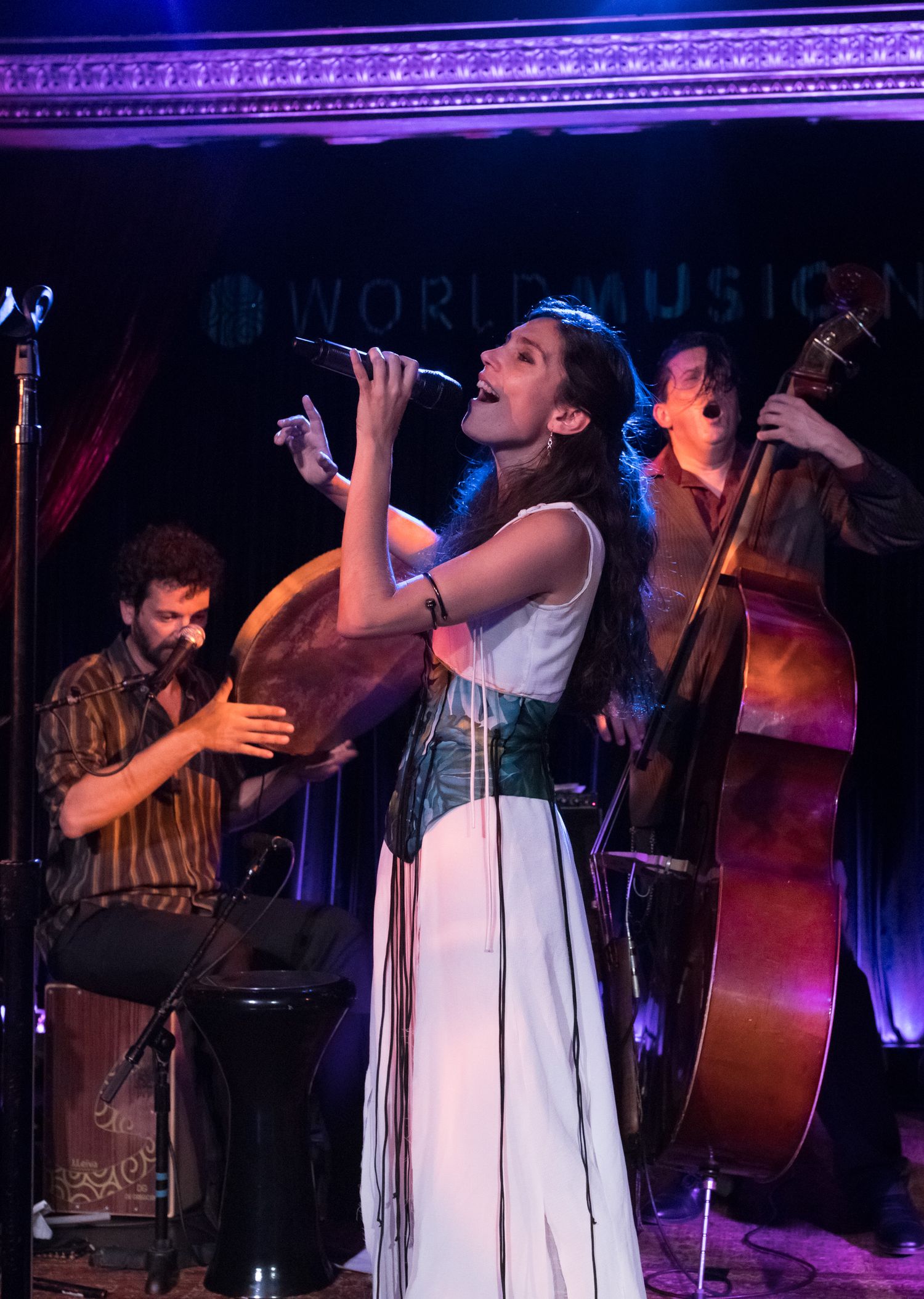 Barcelona Gipsy Klezmer Orchestra performing live in New York City — vibrant concert photo capturing multicultural music fusion.